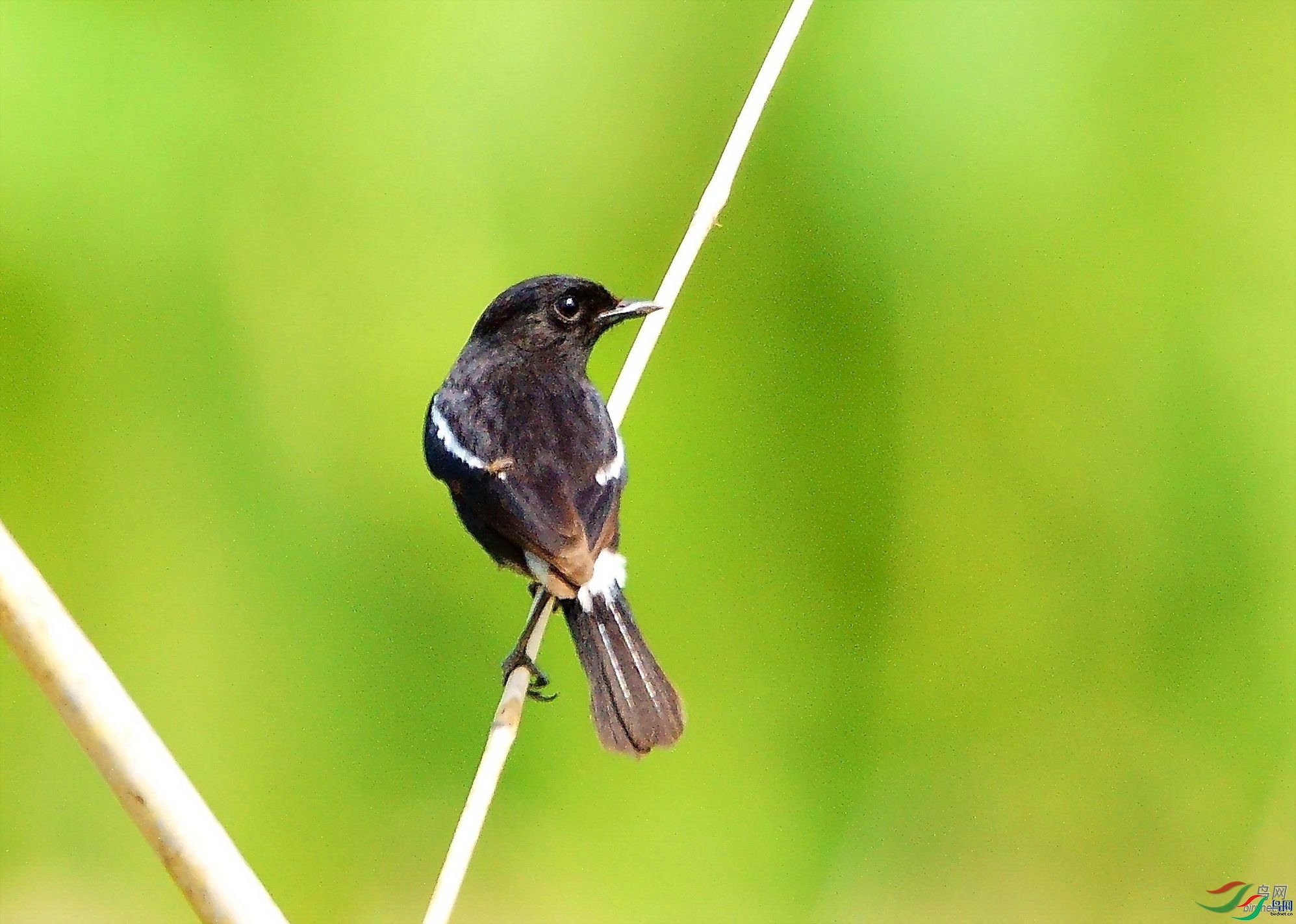 �Ϻӿ� ��ʦ����������ʡ�º���徰���������� ӯ����.jpg