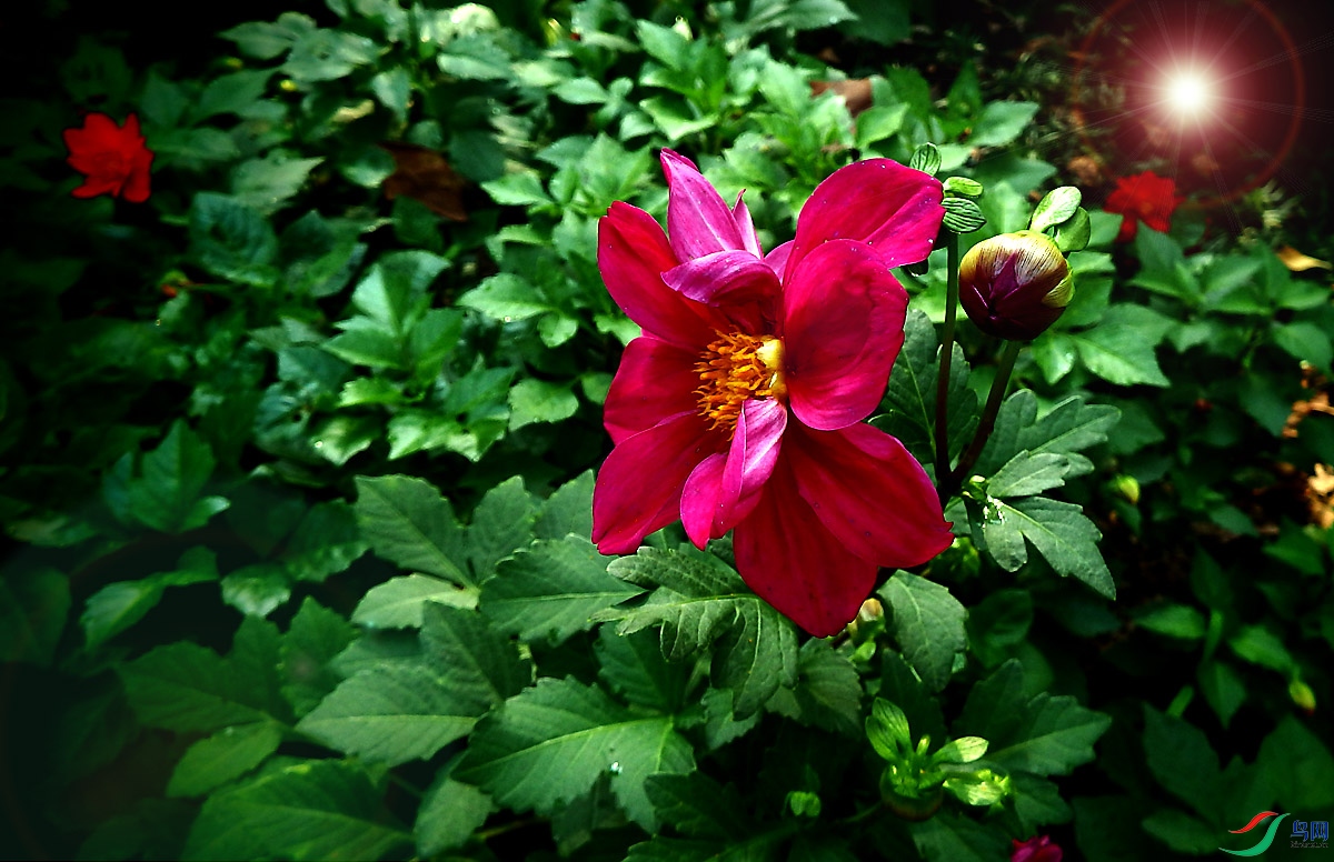 P9229591.jpg
