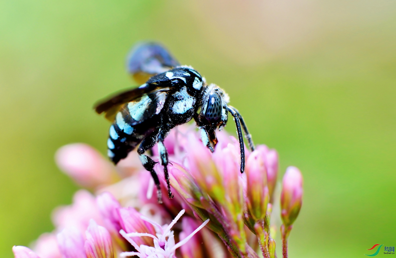 DSC_7040 ��������.jpg