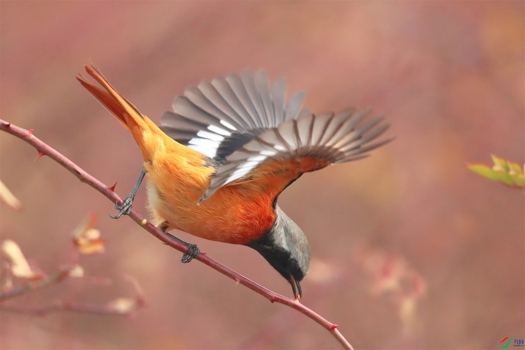 111 - ���� (2).jpg