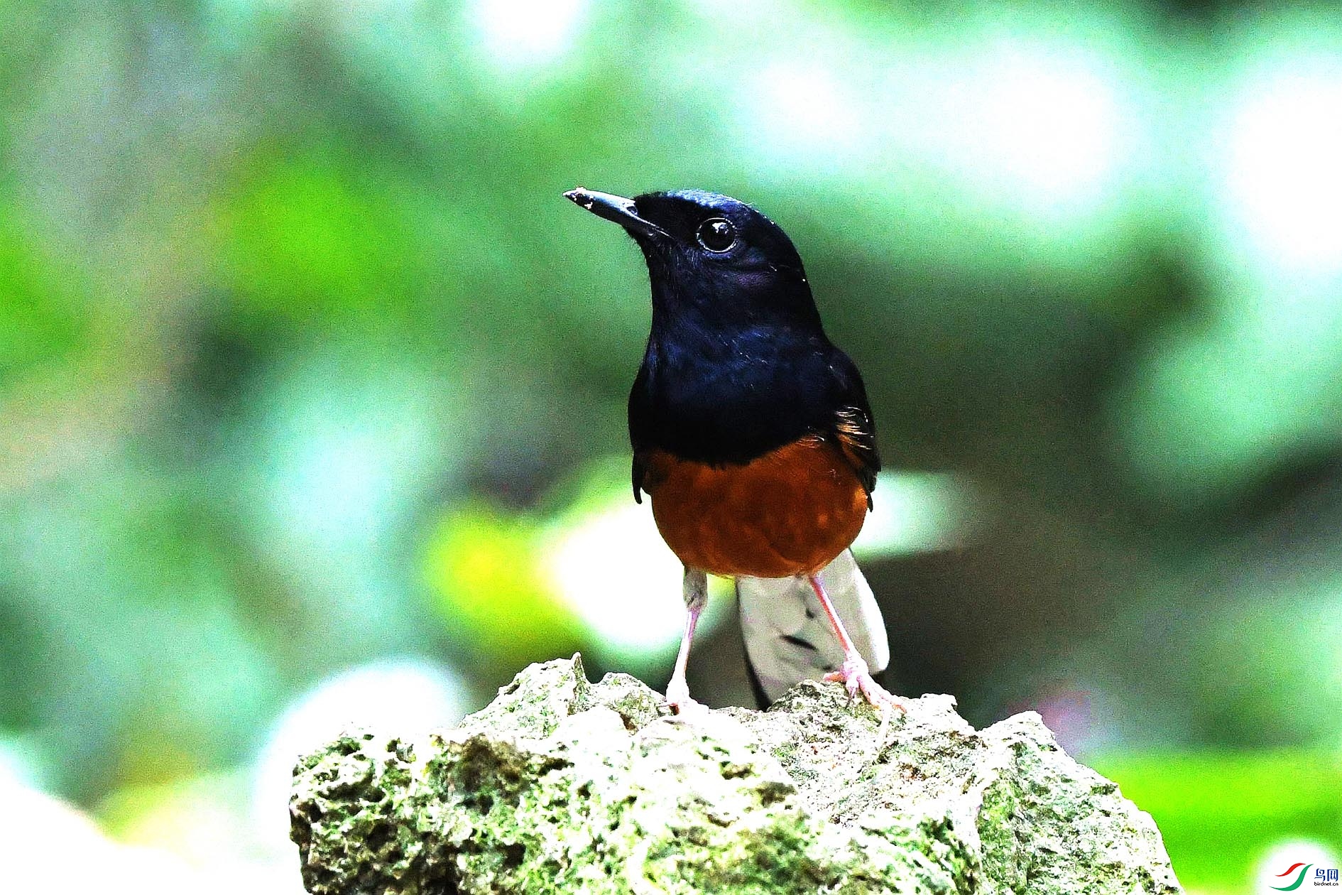 NIKON D500940_����.jpg