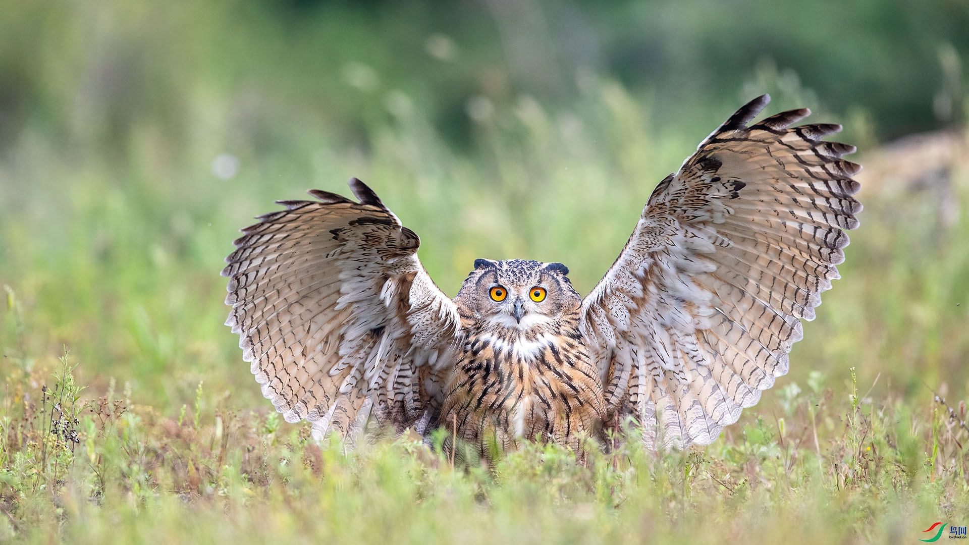 1DX_9123 ���� 2.jpg