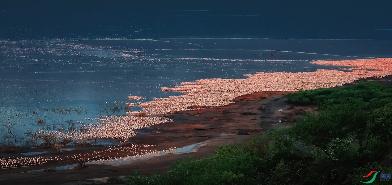 �����ڿ����ǲ������Ǻ���