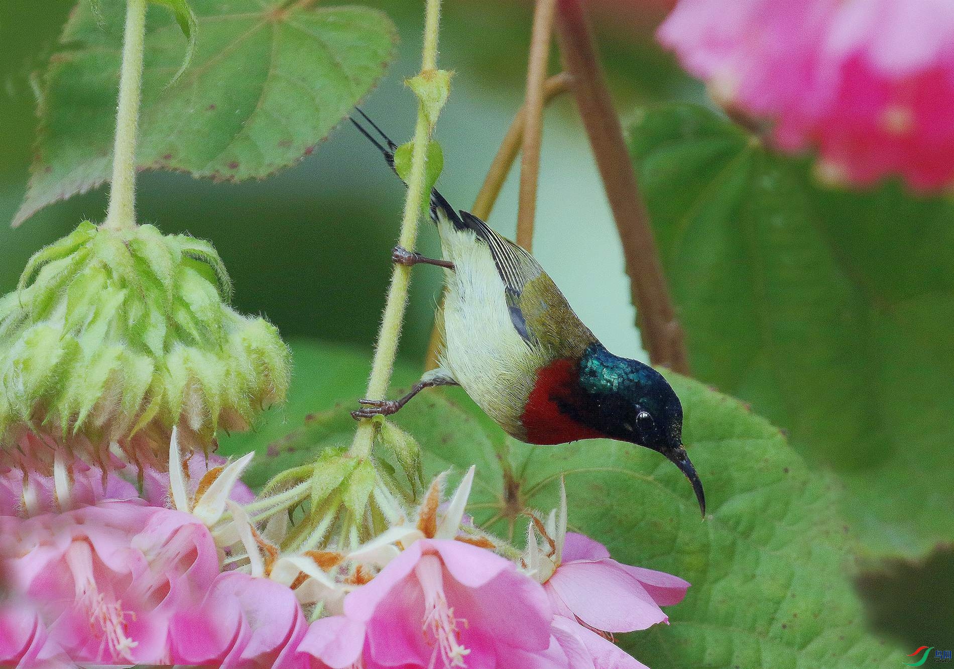 ܽ�ػ�����