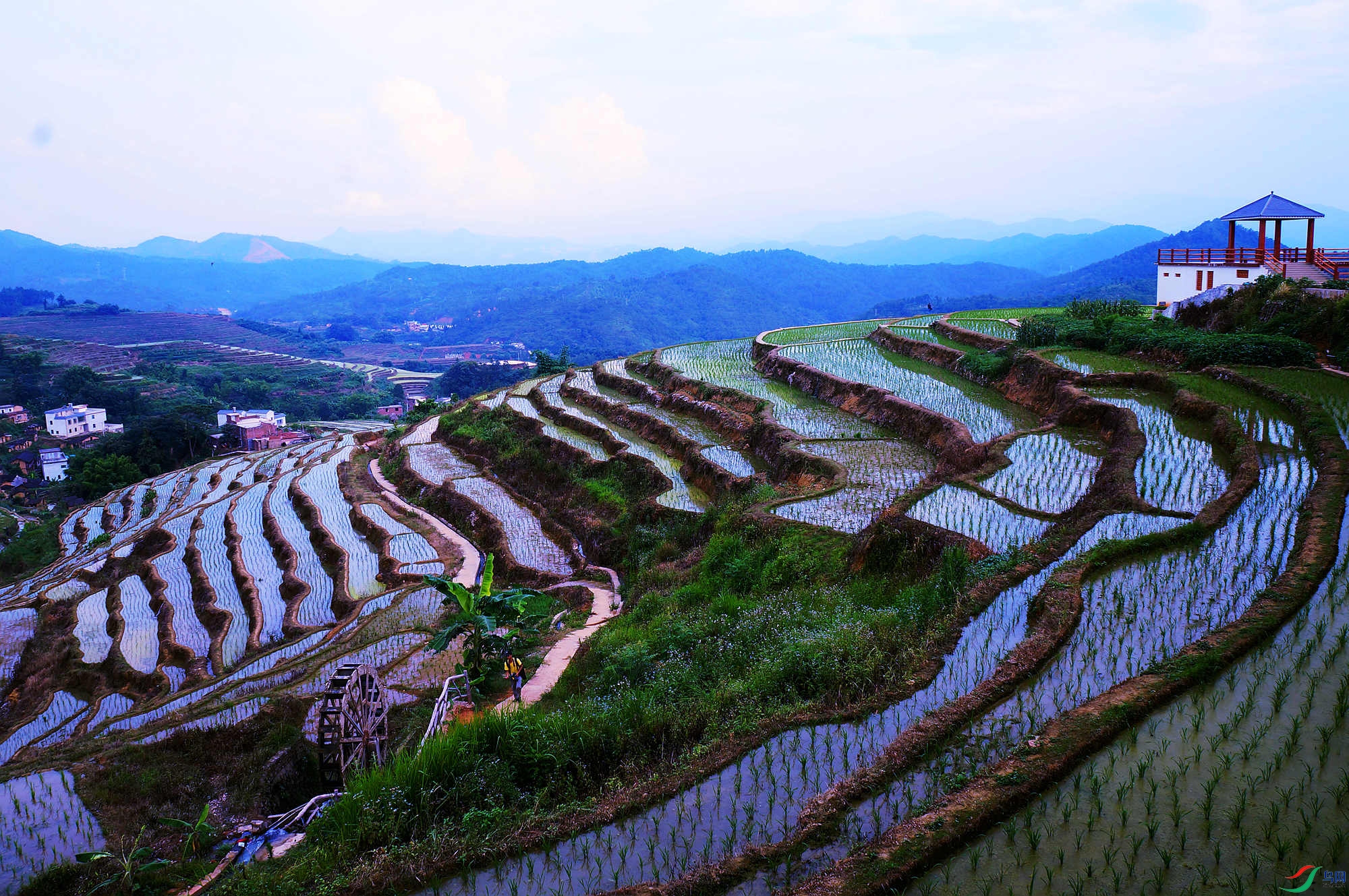 層層梯田