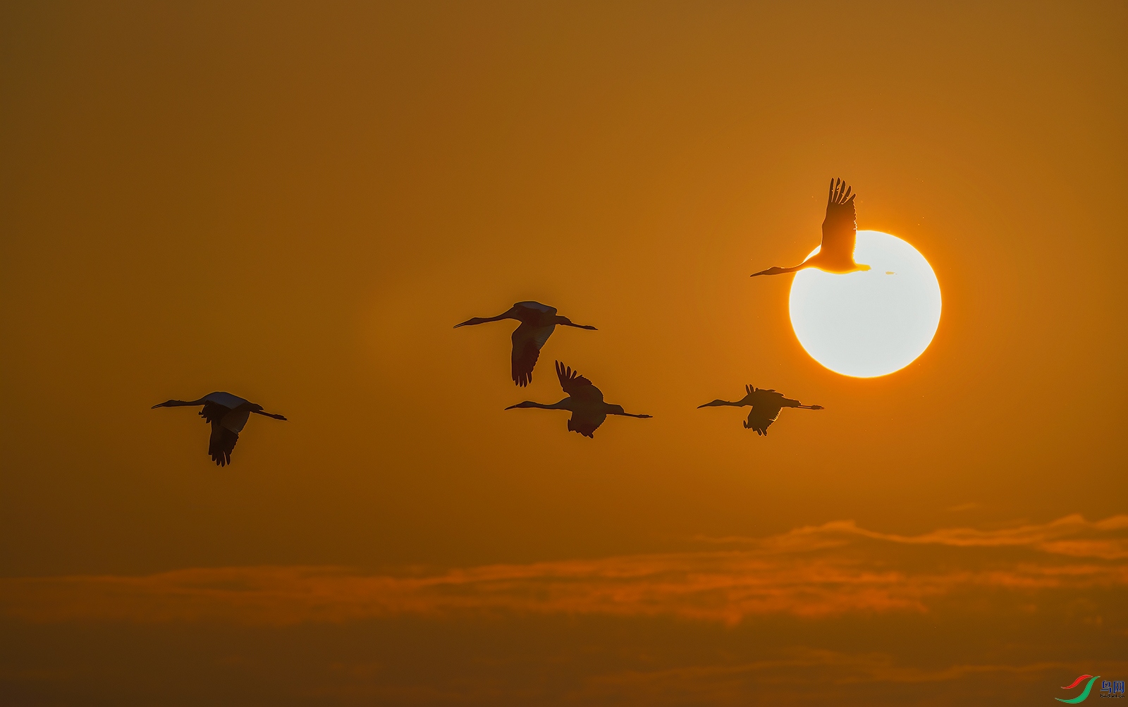 AI8I4980 ����.jpg2.jpg