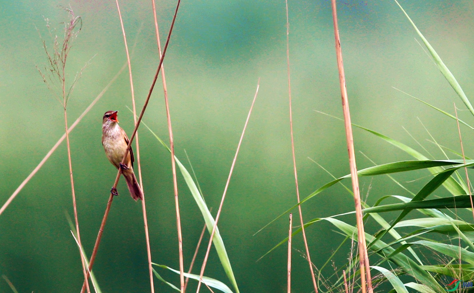 DJ4W8970.JPG