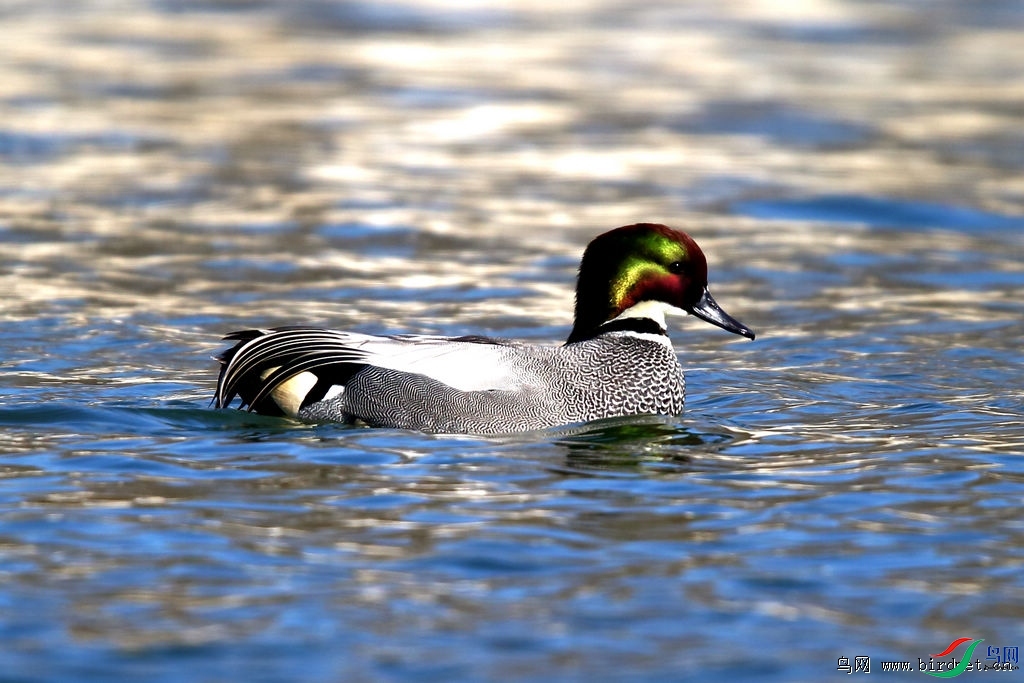 84487171867925����Ѽ..jpg