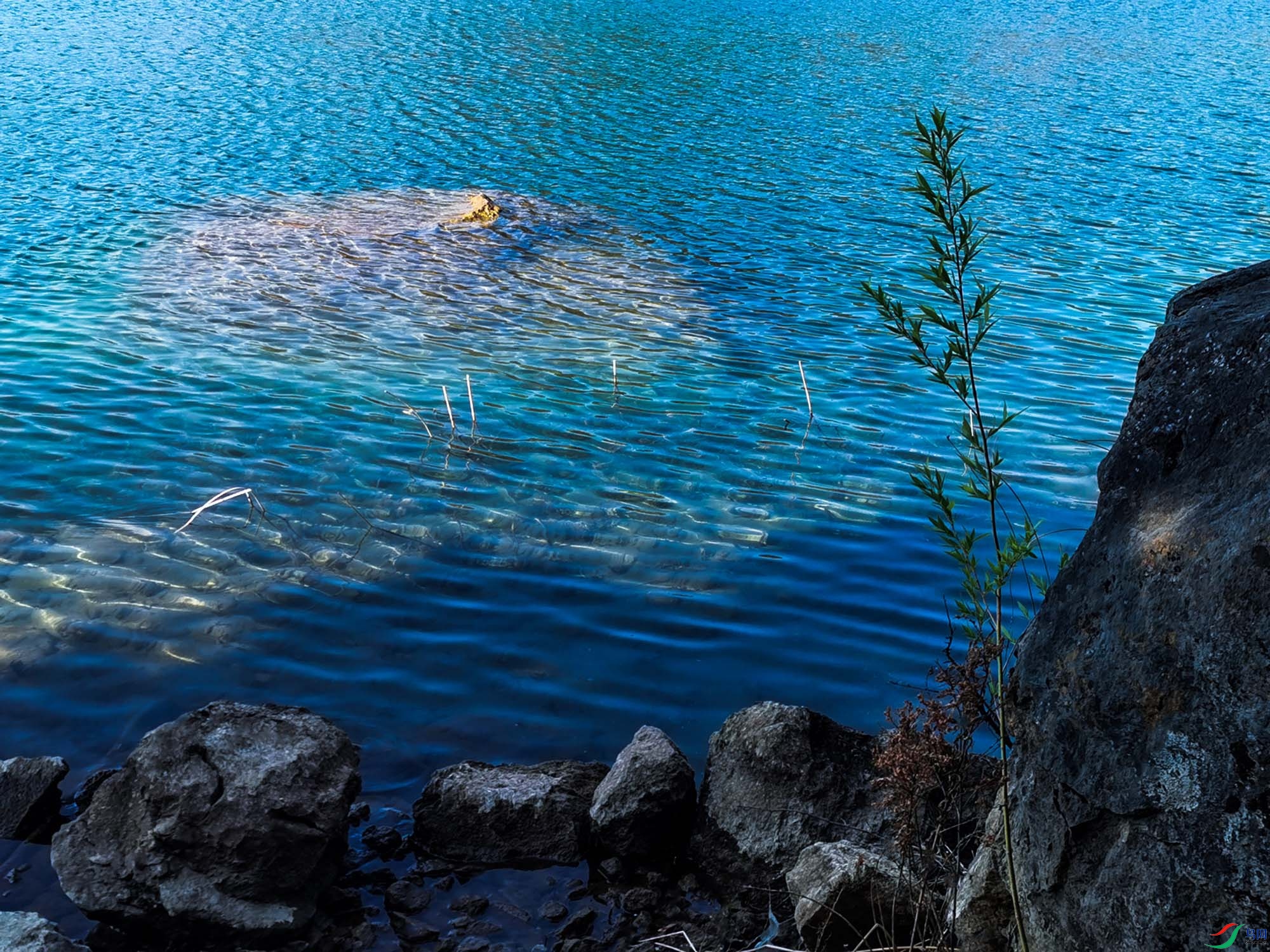 4�£�������ˮ��