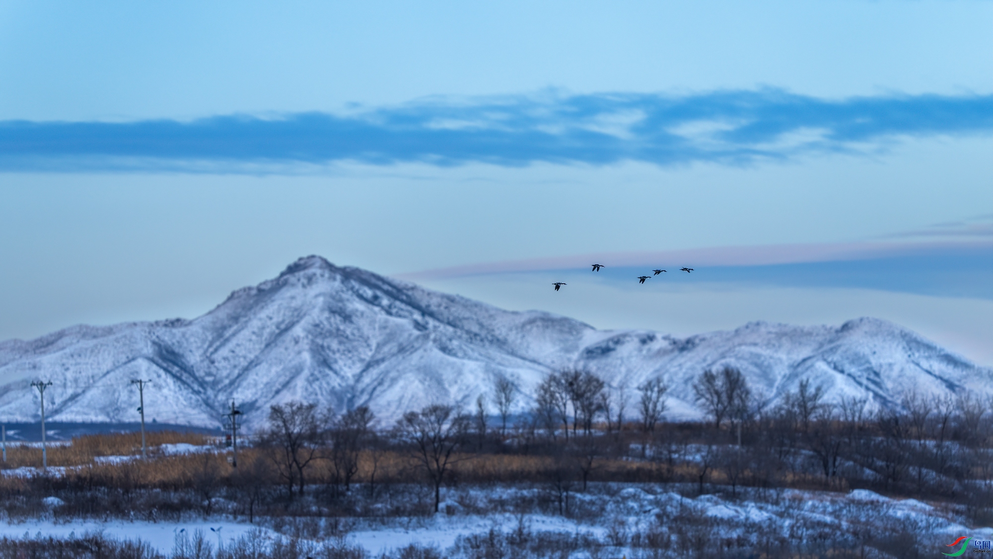 _DSC0905.jpg