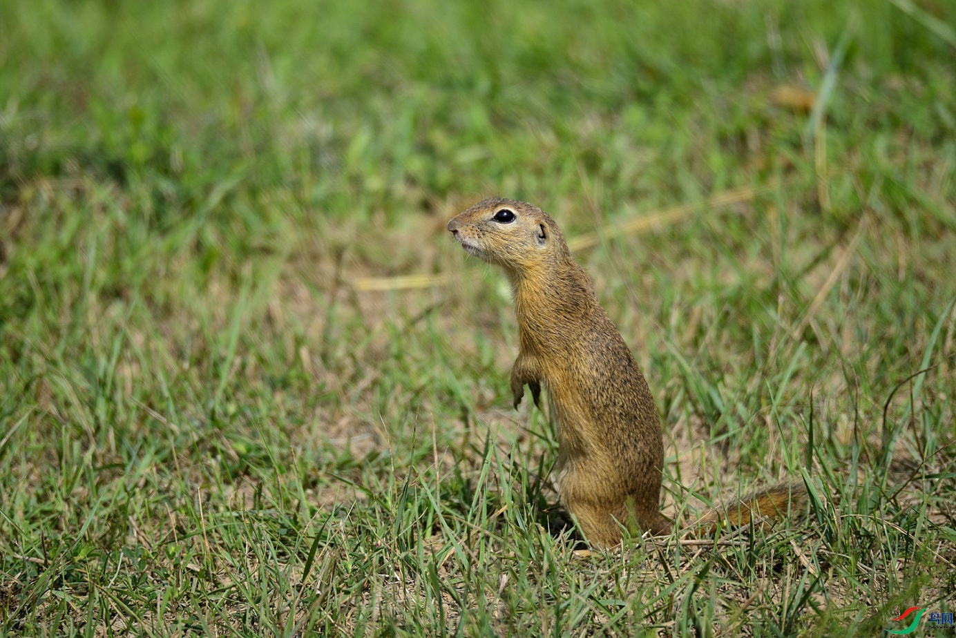 _DSC7642_00001.jpg
