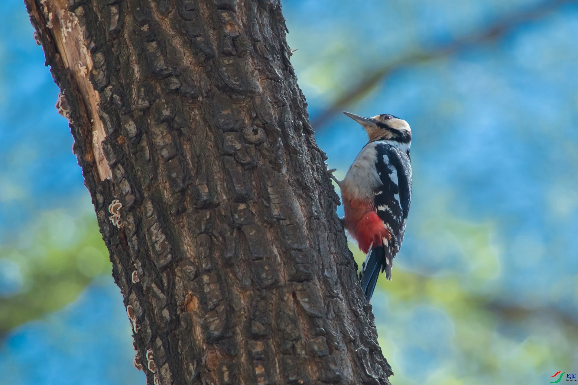 �����ľ��