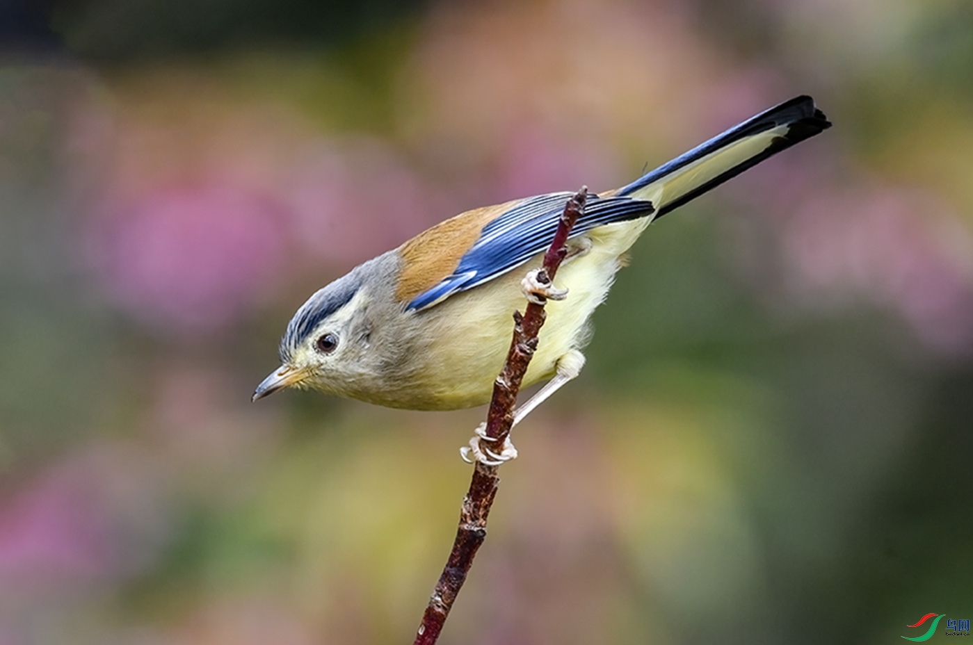 �ϴ�ʱ����