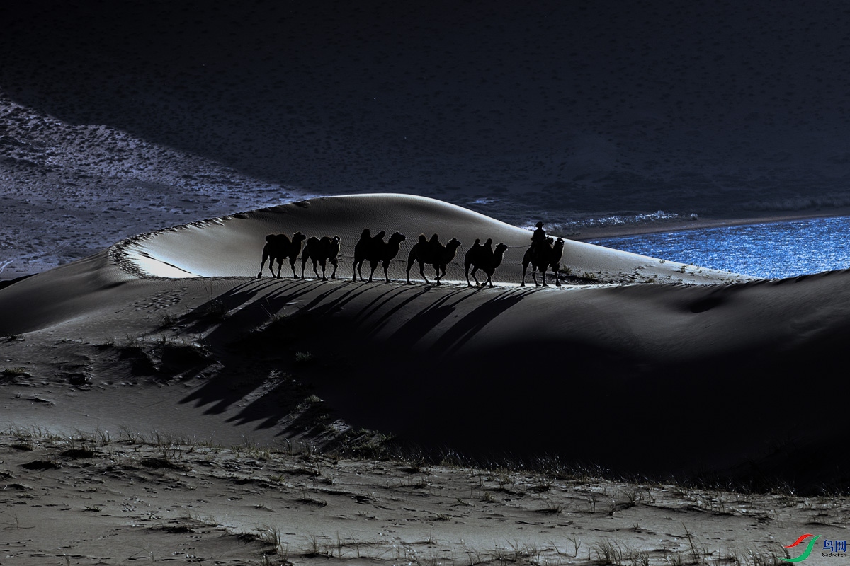 _MG_0225 ����1.jpg