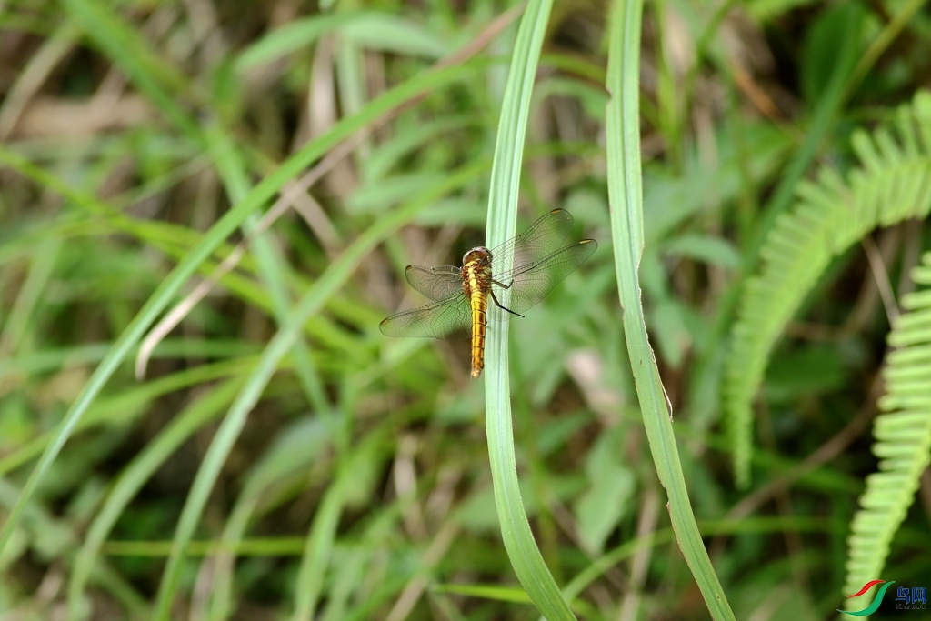 367A8618_����.jpg