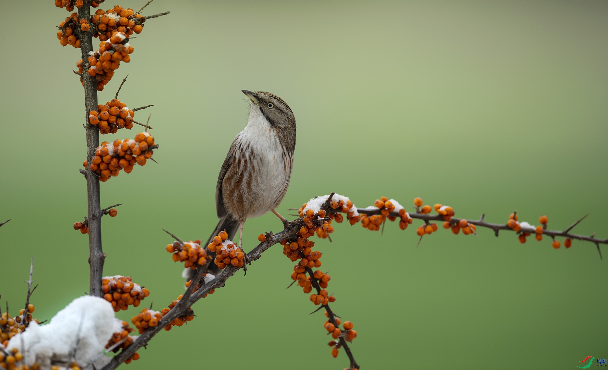 _DSC0824-����ǿ ����.jpg