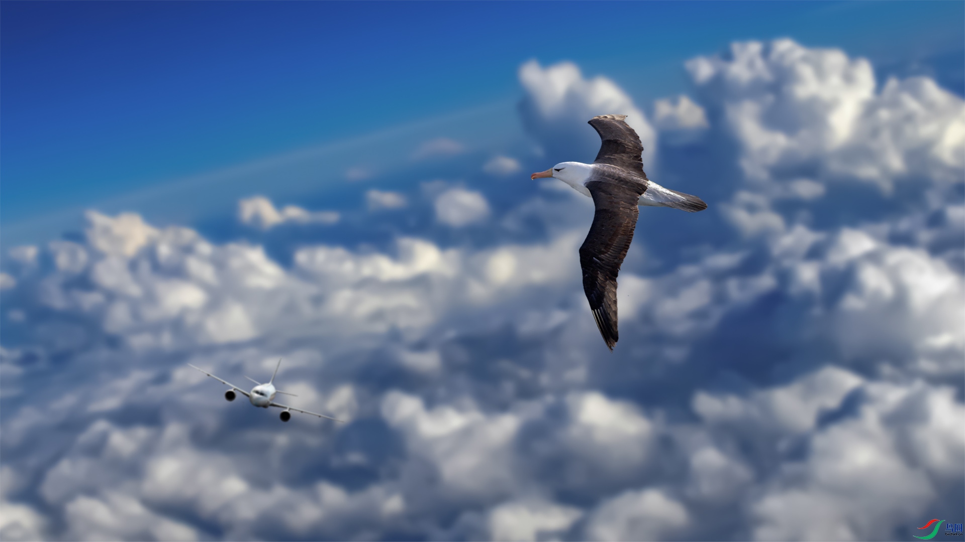 ���� 1920x500k.jpg