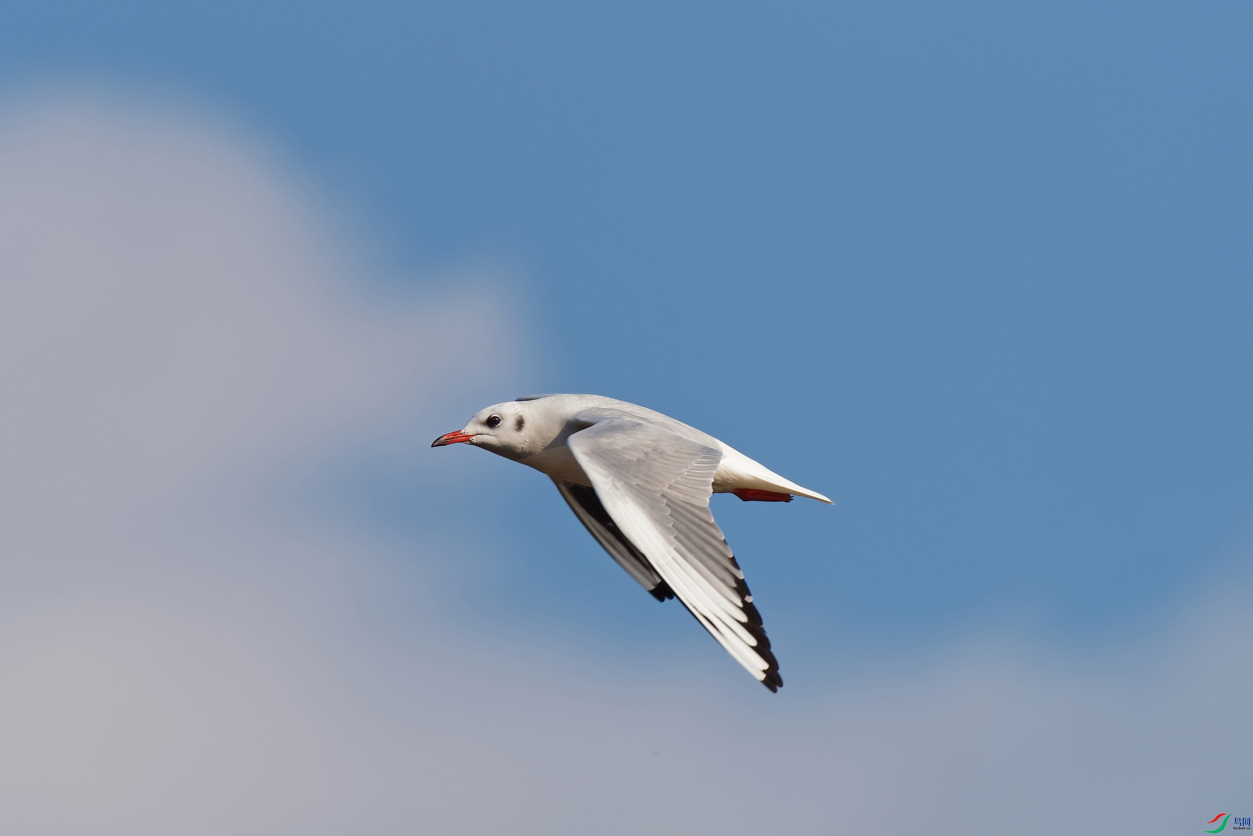PC120320_DxO-d2.jpg