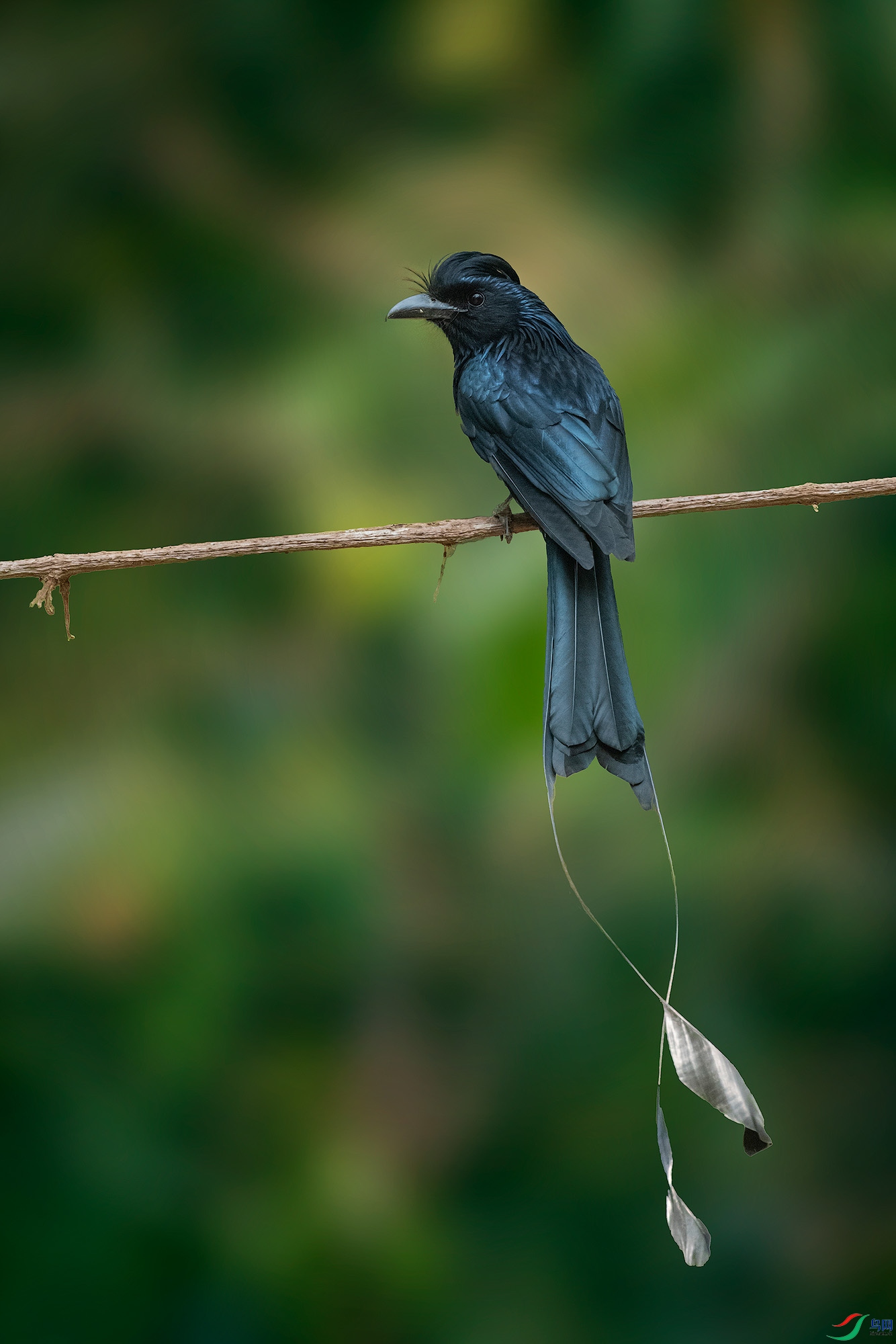 _DSC8141_1 ����.jpg