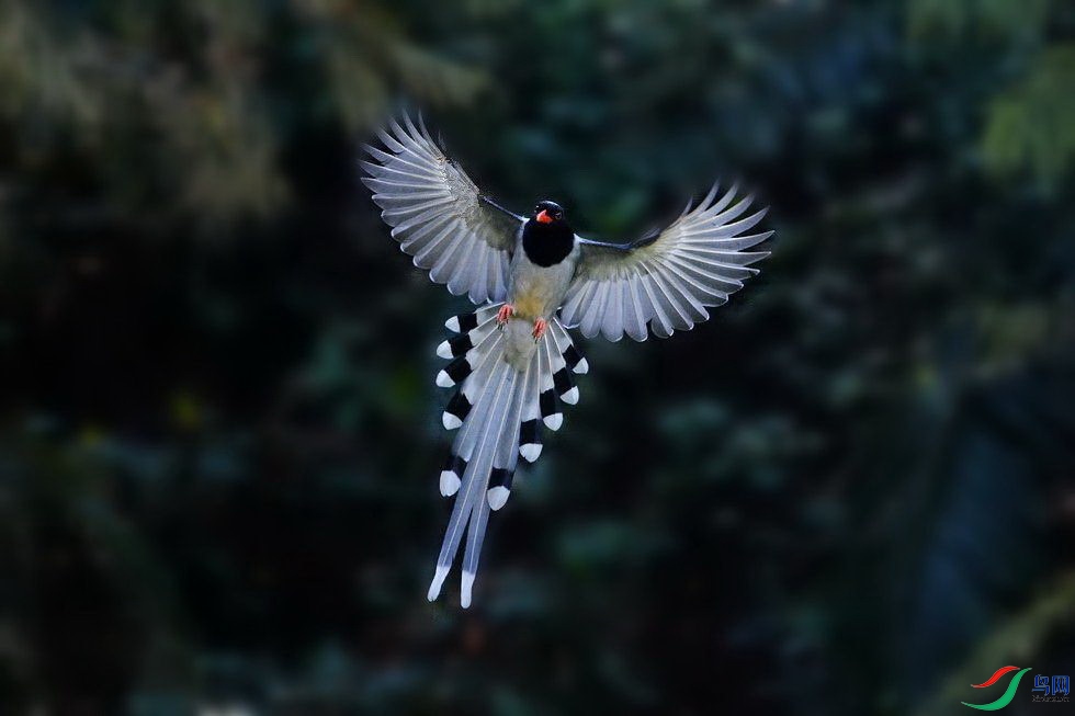 DSC_5359.jpg