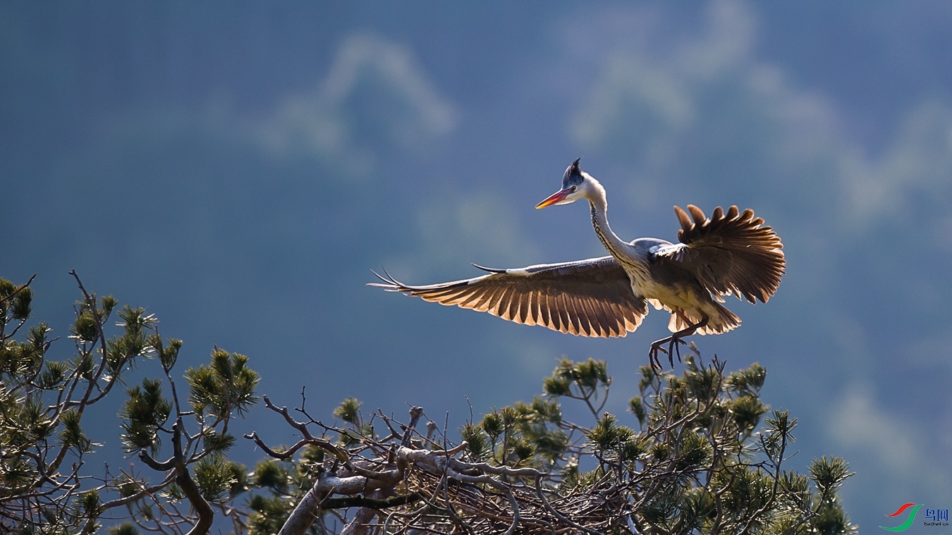 DSC_6417 - ����.jpg