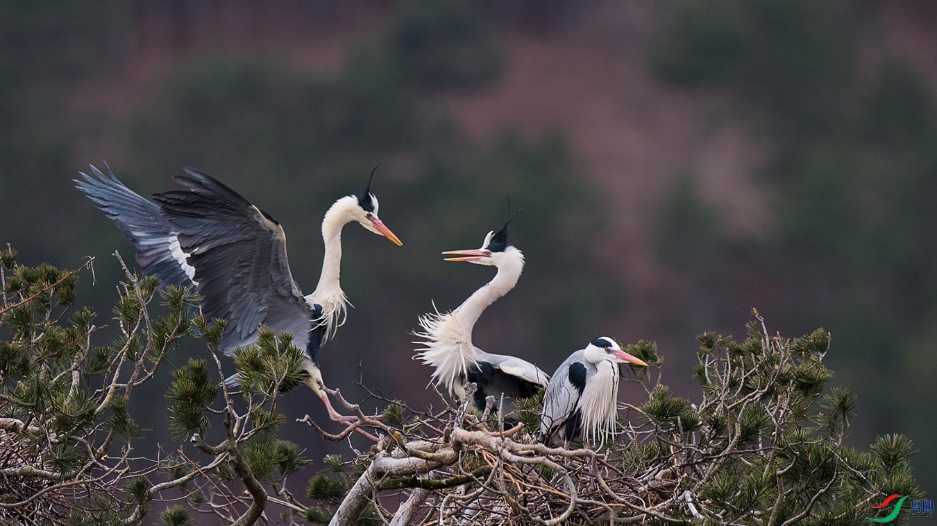 DSC_5756 - ����.jpg