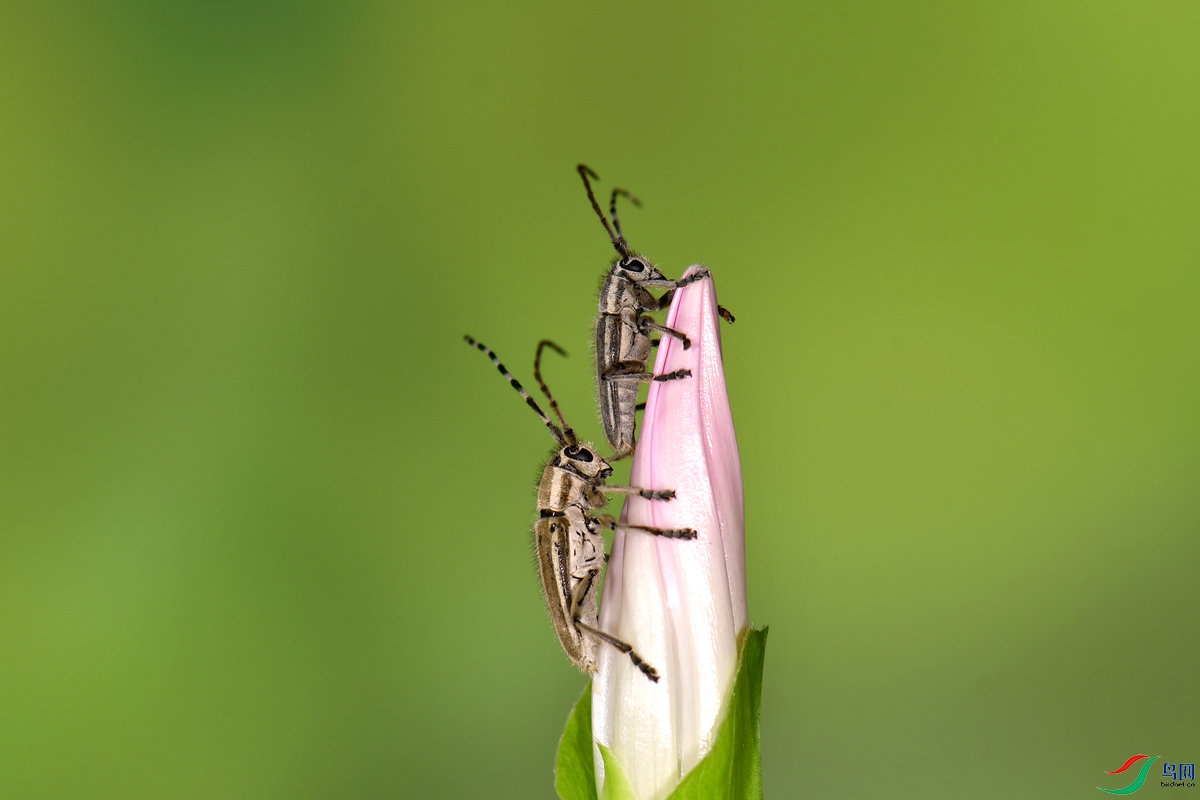 DSC_7110_����.jpg