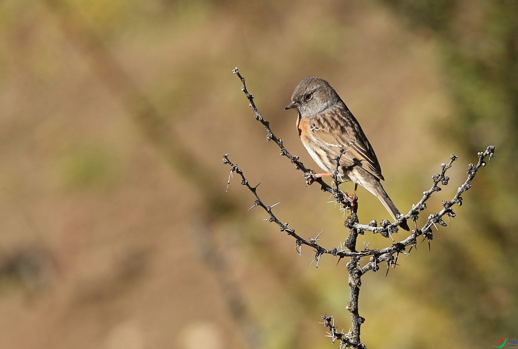 w160928������ɫ�� (7).jpg