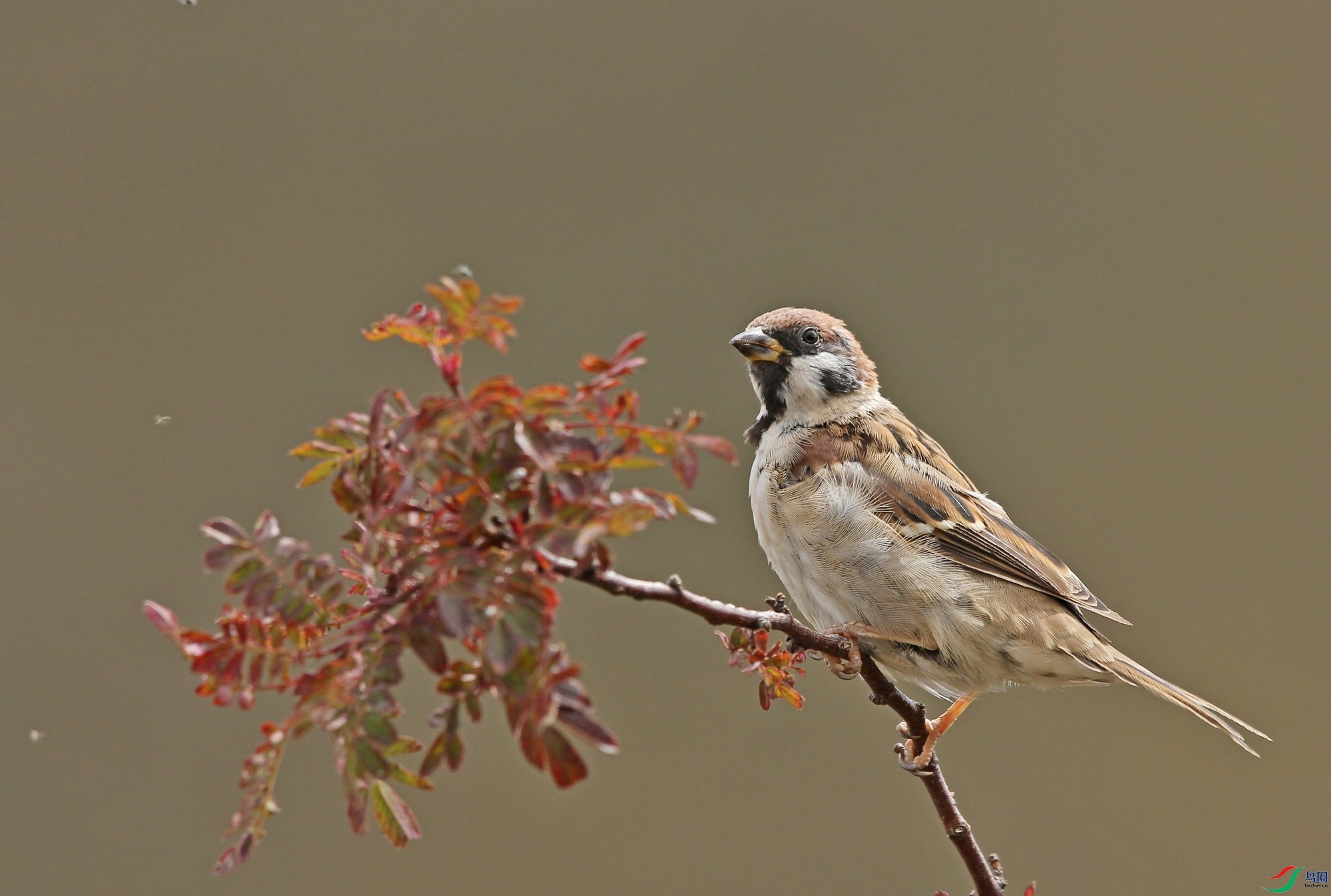 w160928������ɫ�� (2).jpg