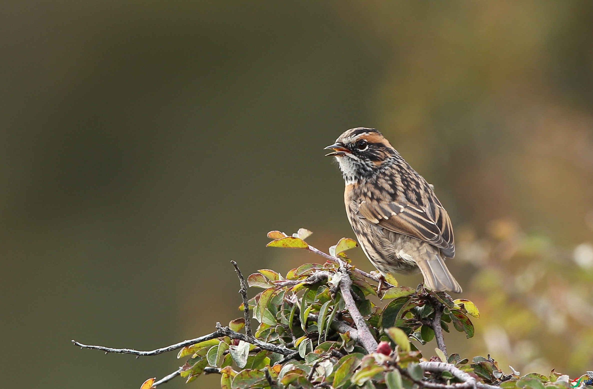 w160928������ɫ�� (35).jpg