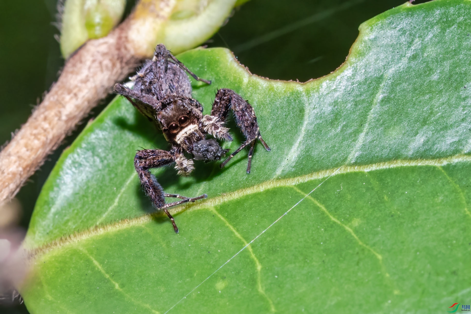 DSC_6314-1.jpg