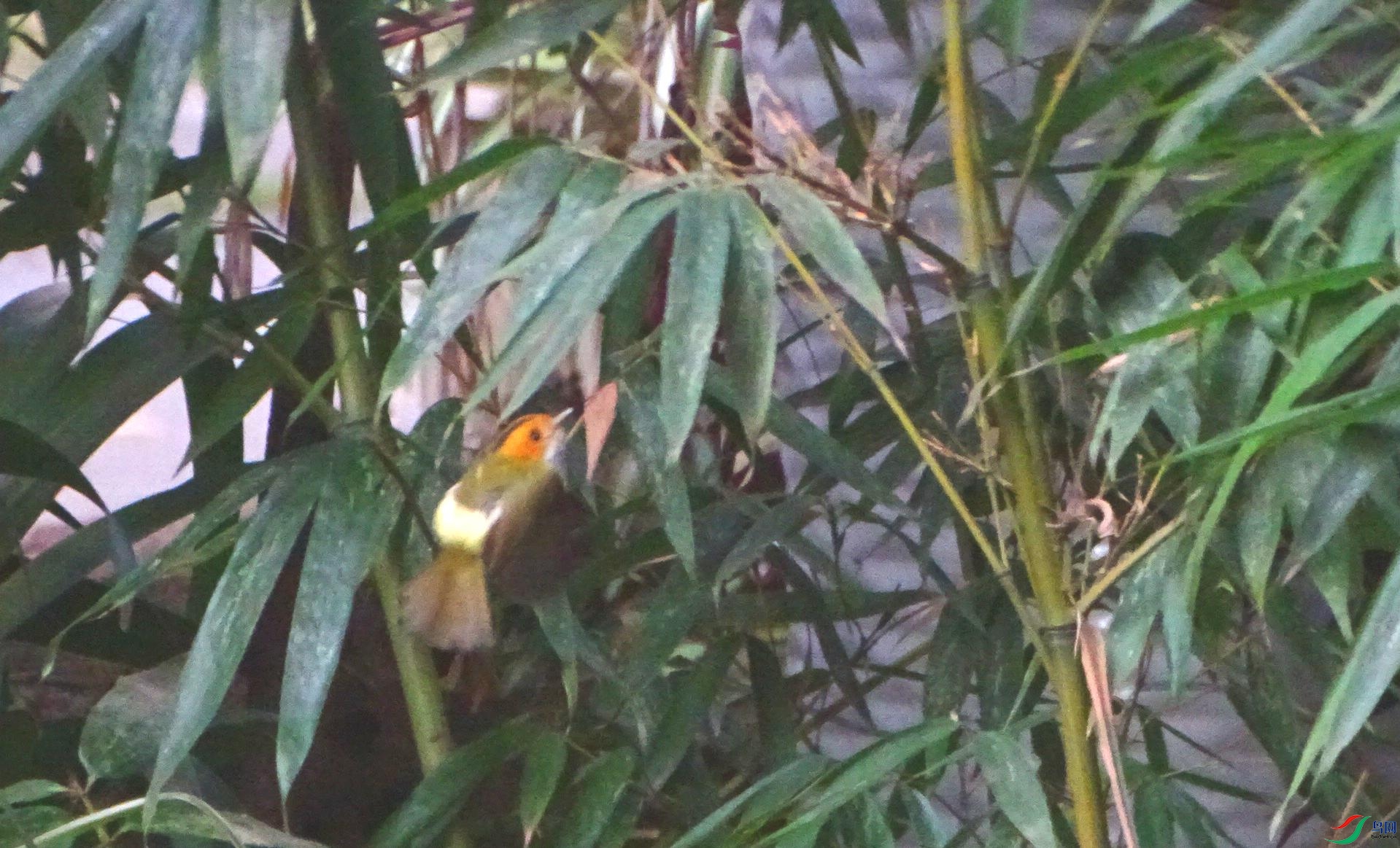 DSC09957_���ٿ�ͼ.jpg
