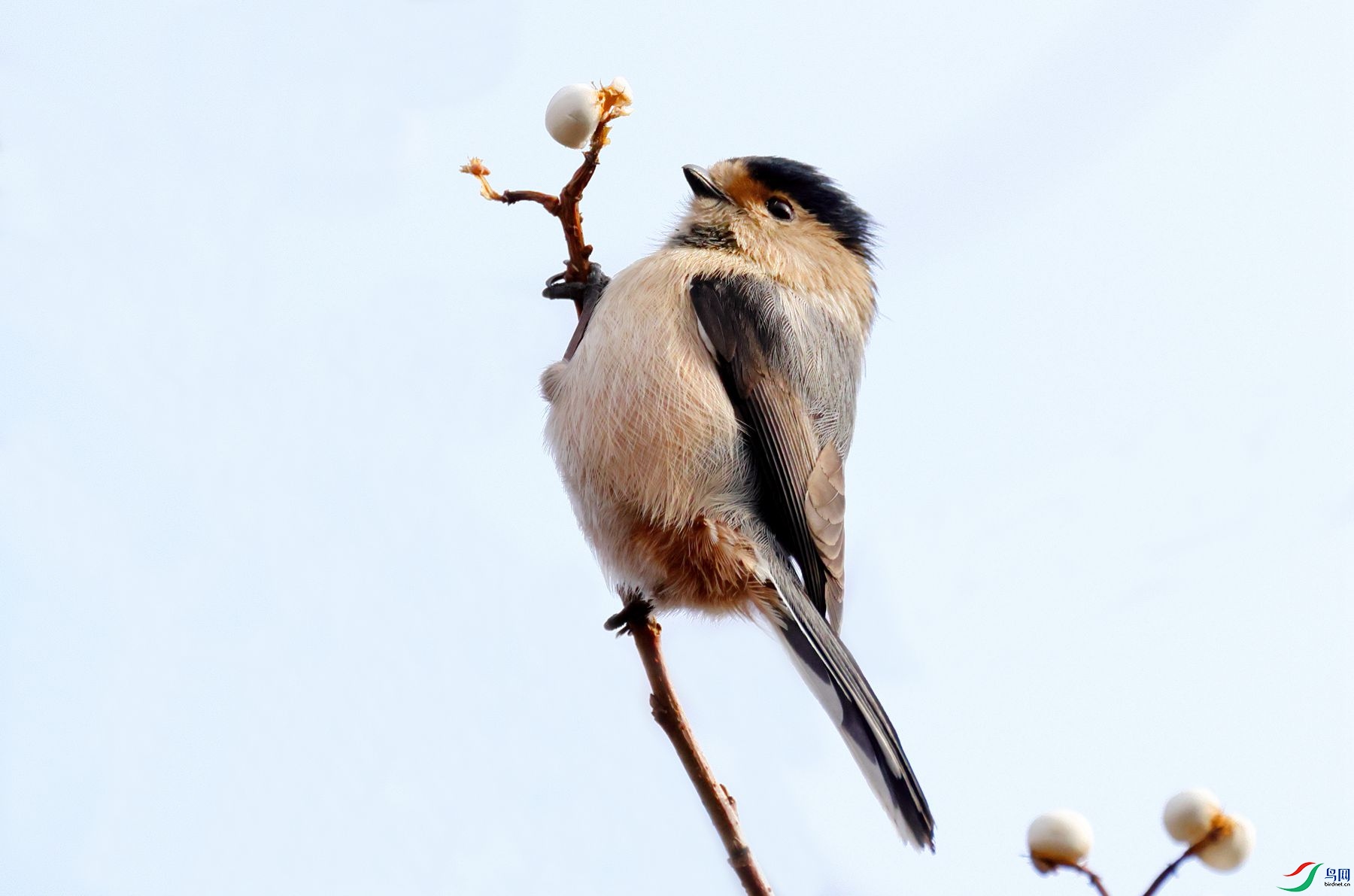 7B4A2110_����.jpg