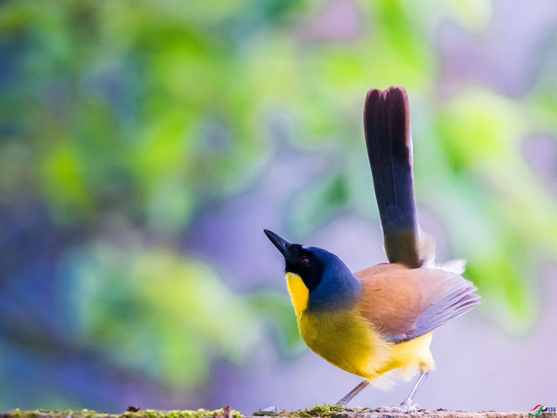 �������