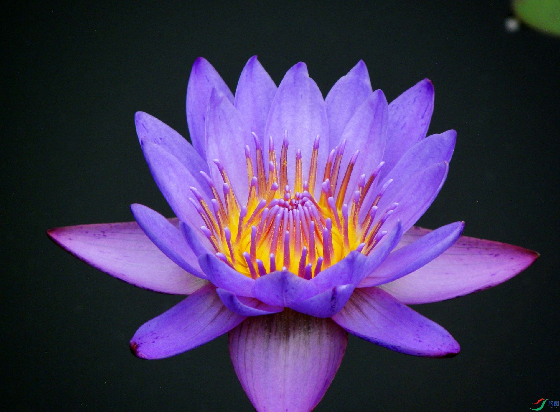 DSCN7812.jpg