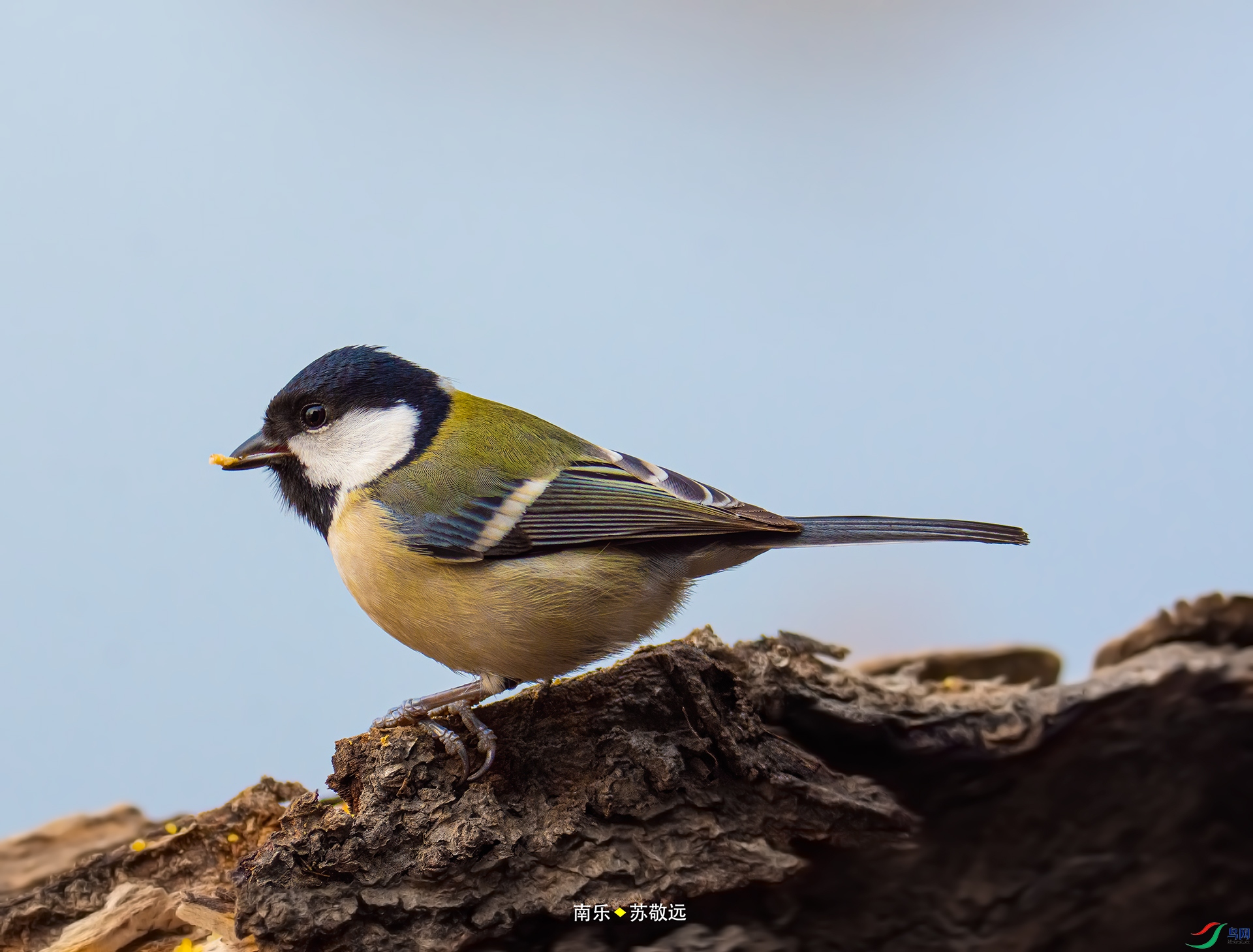 _DSC3903С.jpg