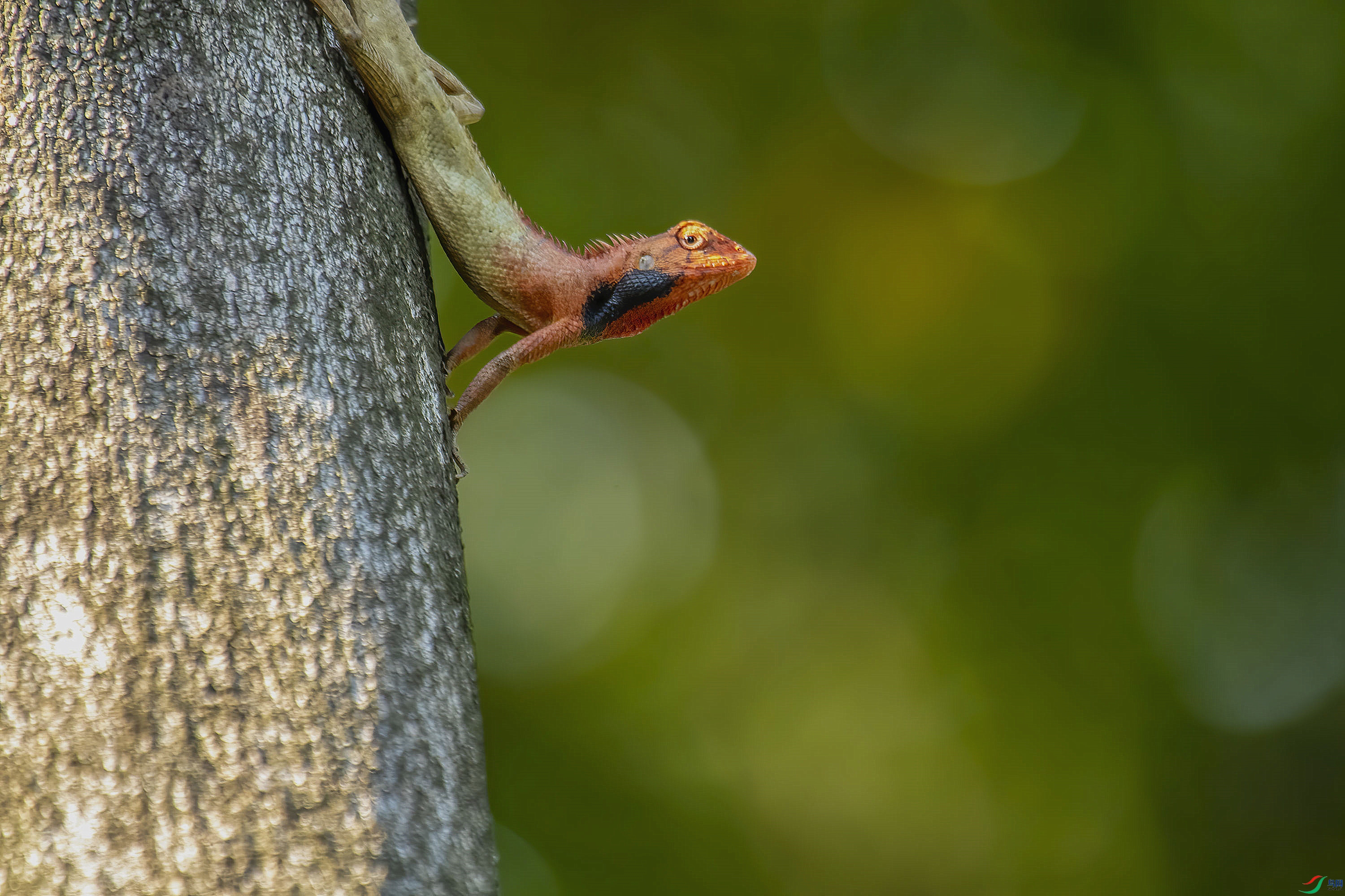DSC_3541_����.jpg