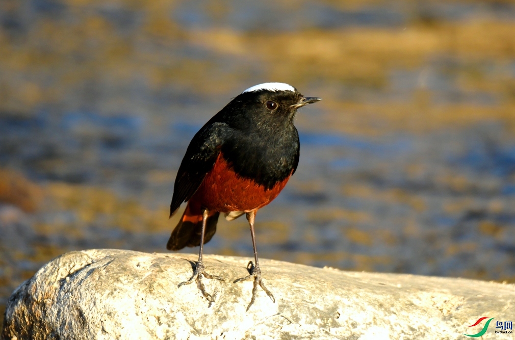 MYG_7307.JPG