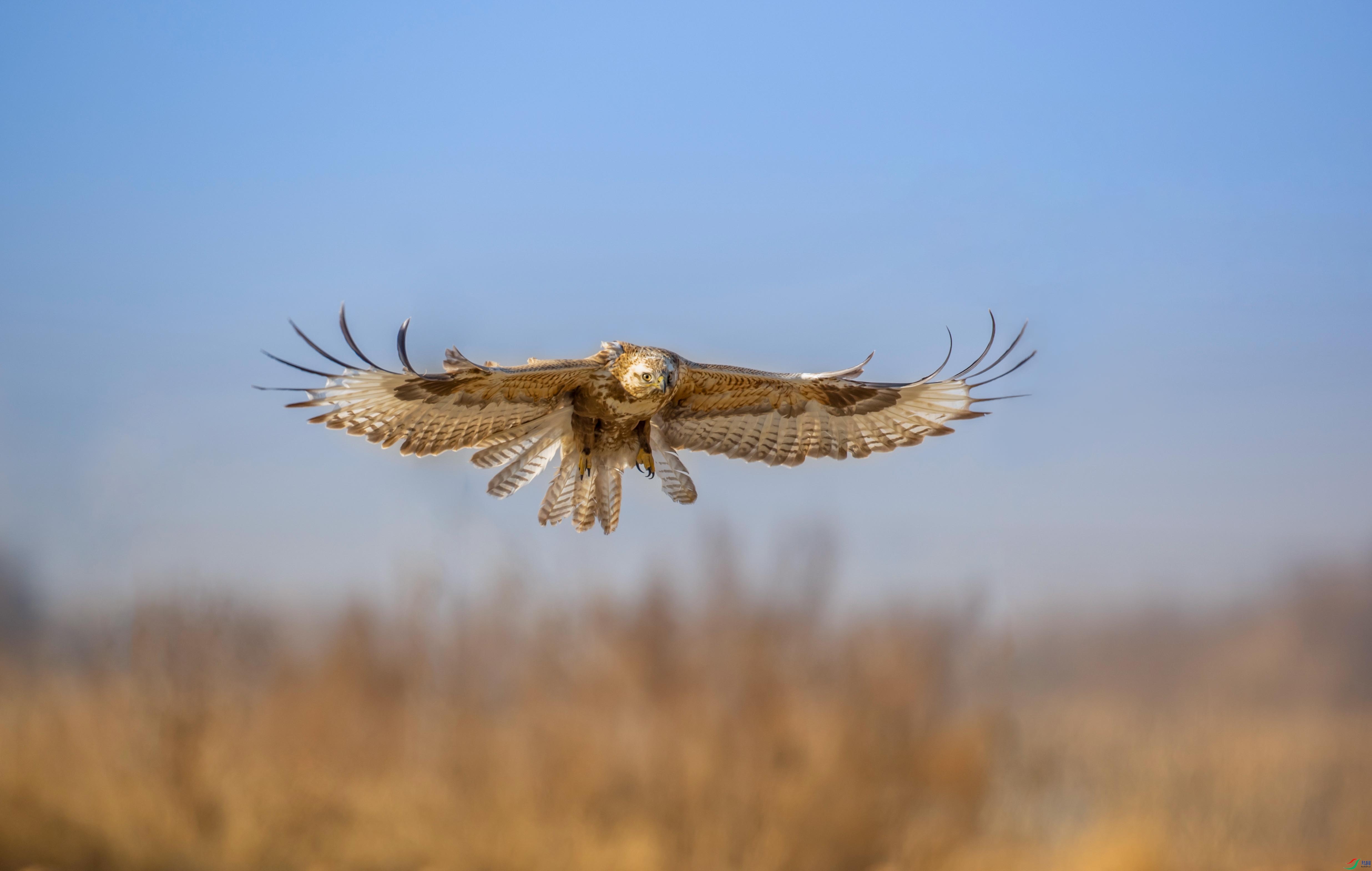 ����ʮ��