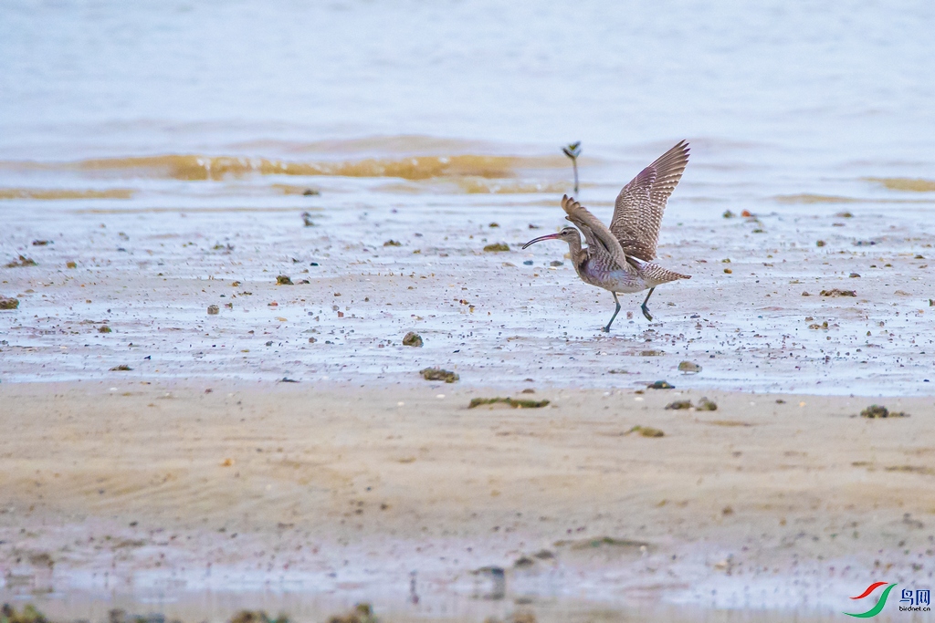 DSC_7113a.jpg