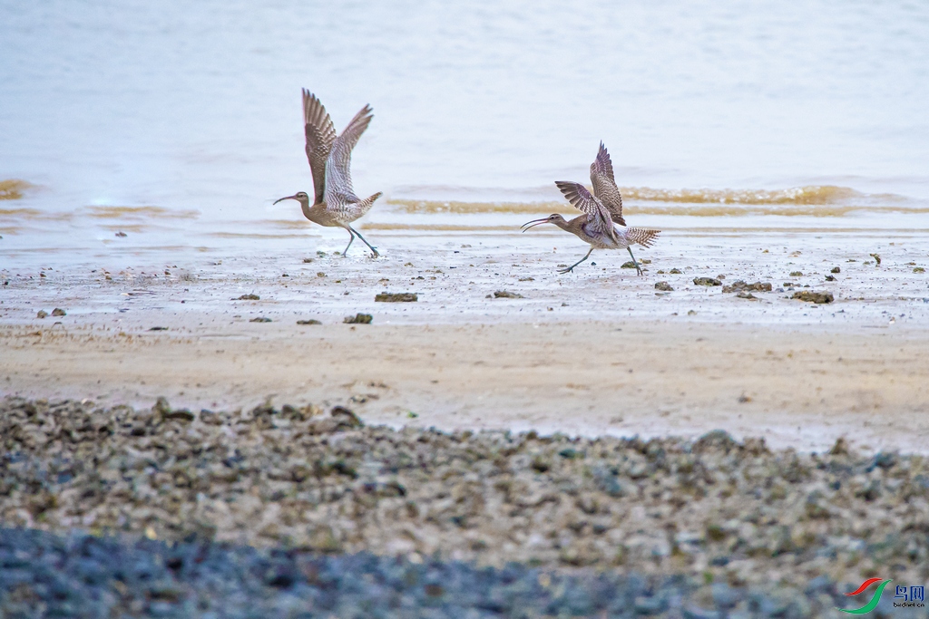 DSC_7116a.jpg