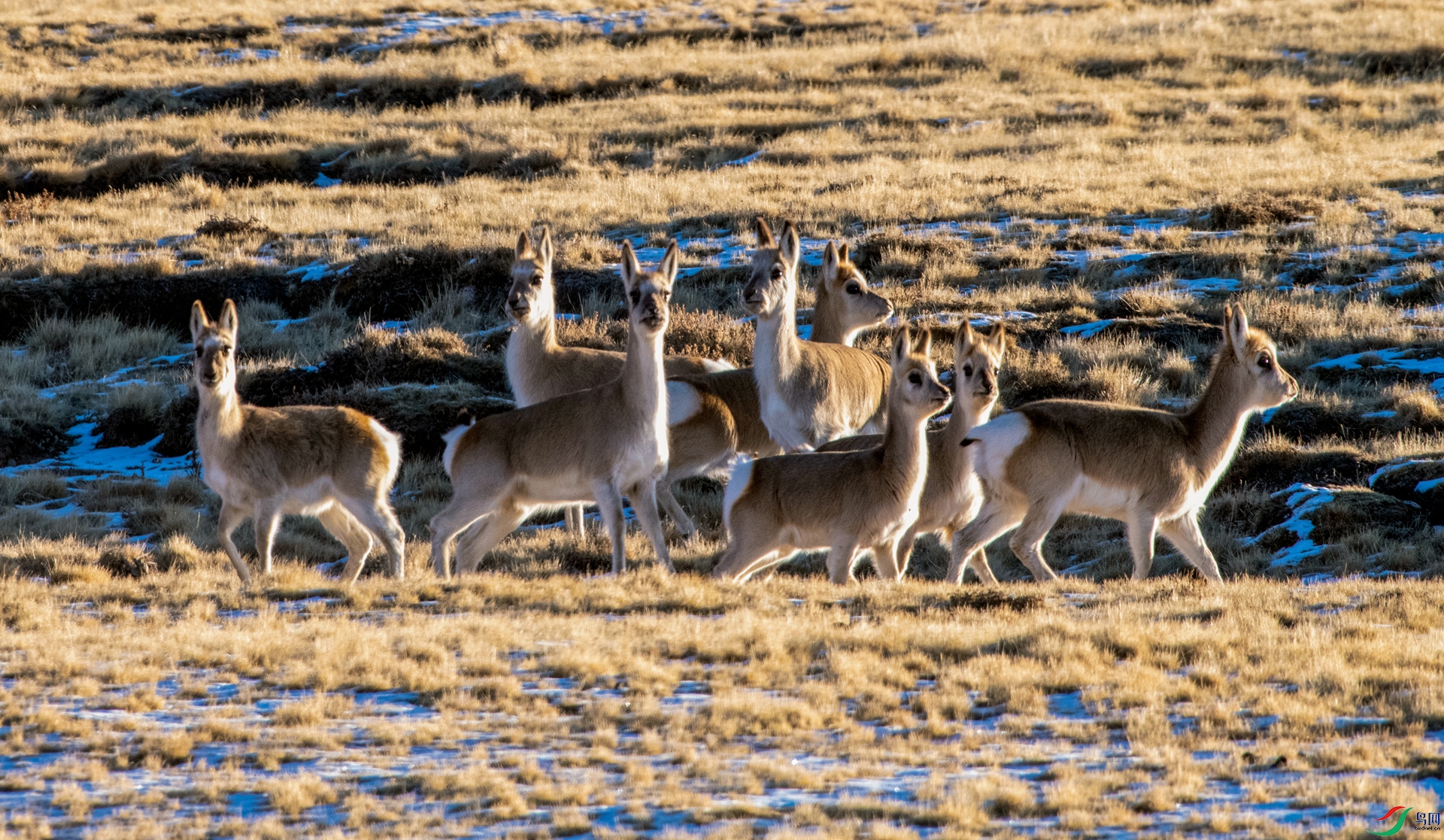 _DSC6060_����.jpg