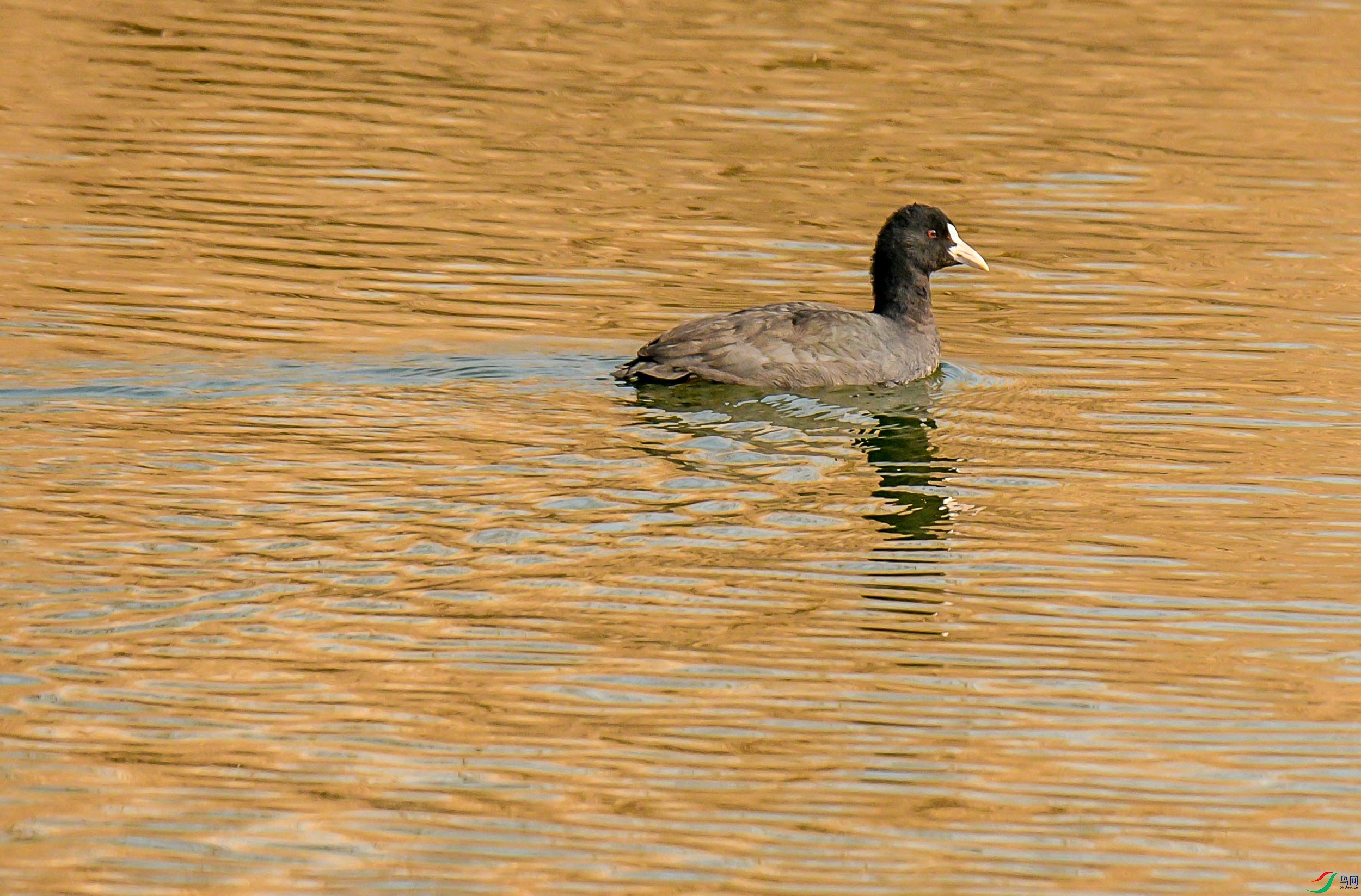 DSC_9857.jpg