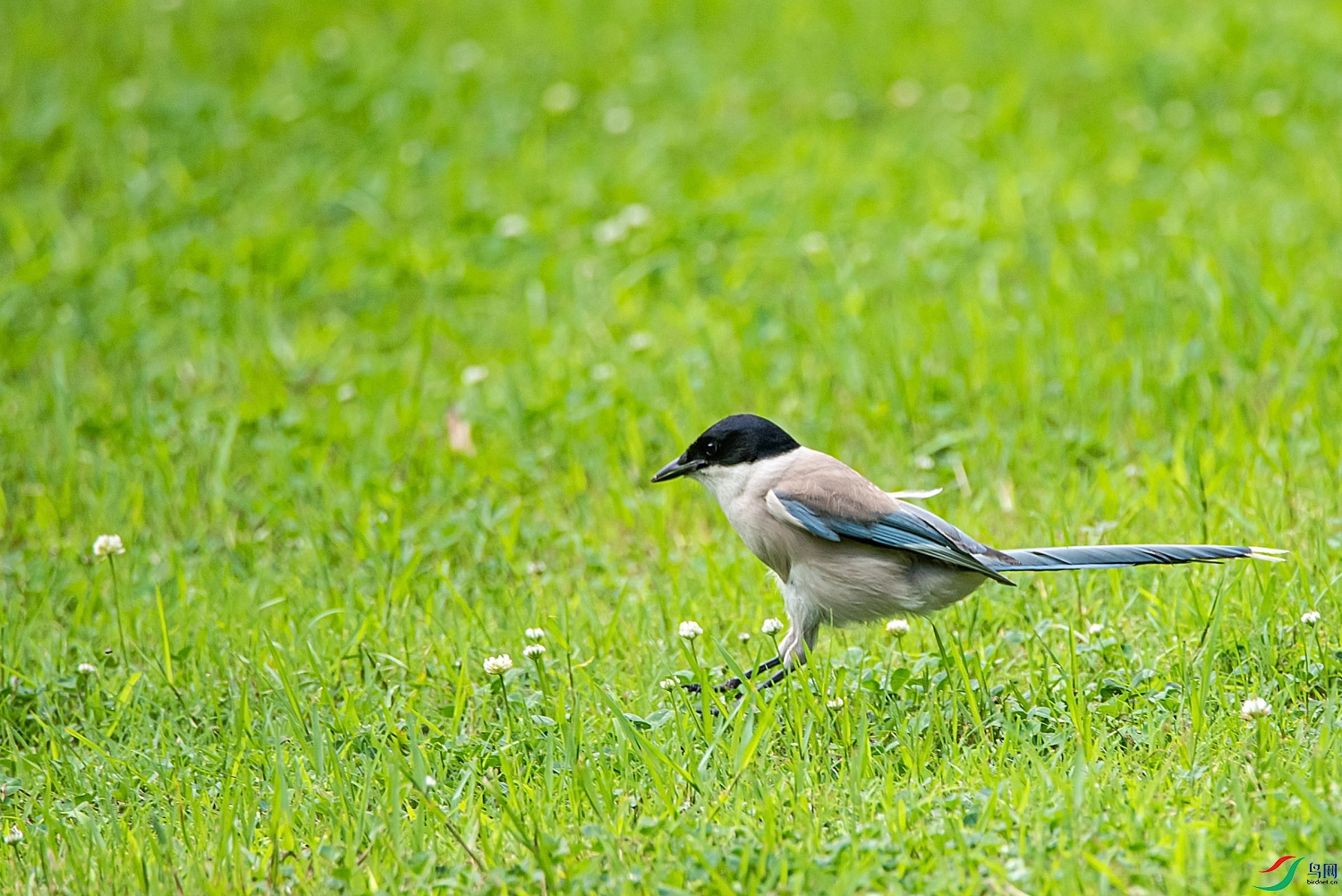 DSC_2335_00004.jpg