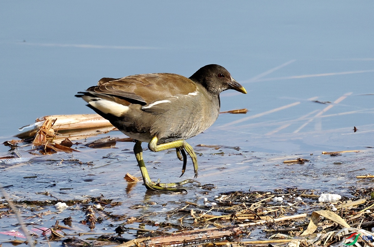 3A2544��ˮ��-22.JPG