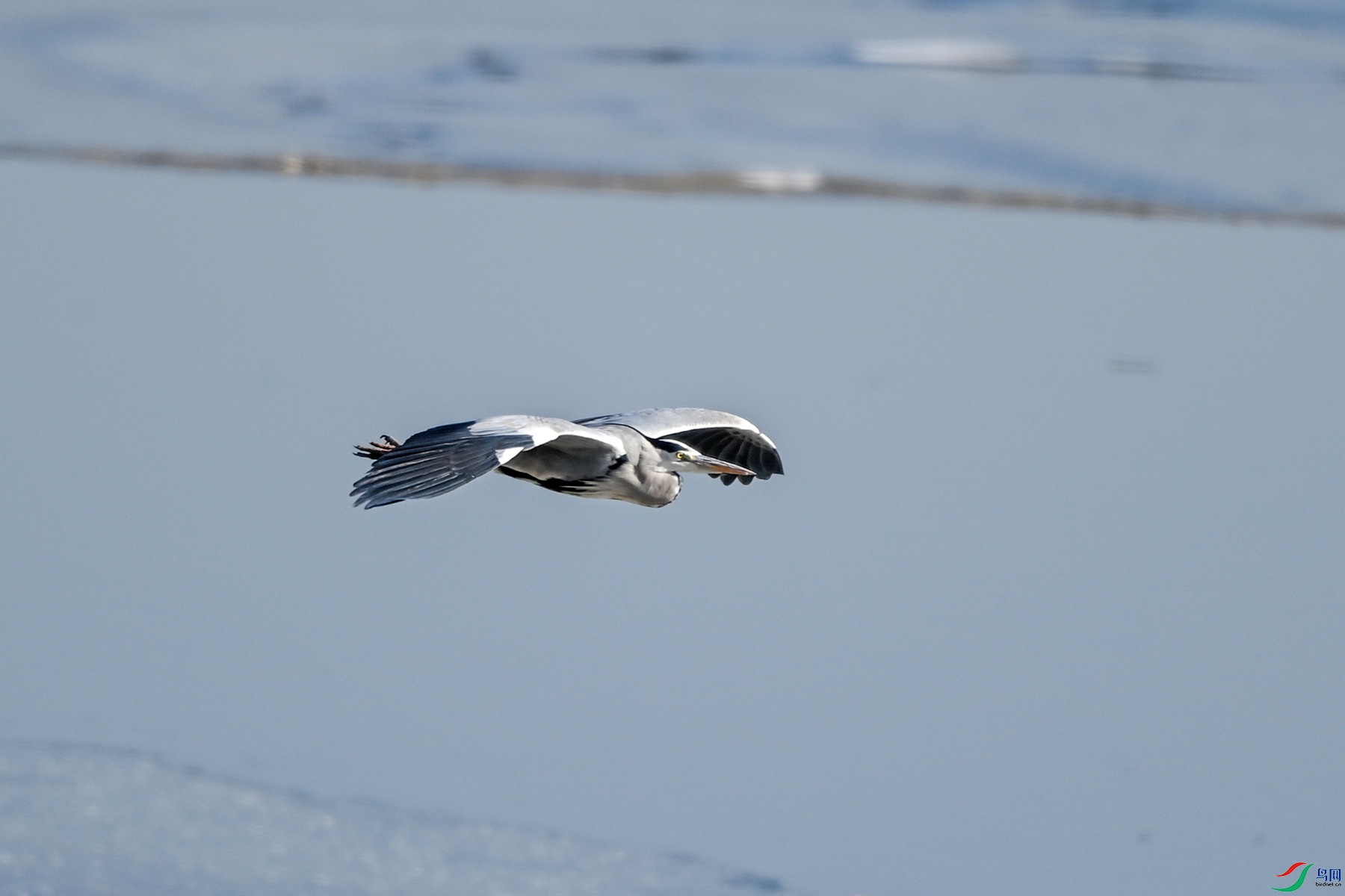 DSC_3154.jpg