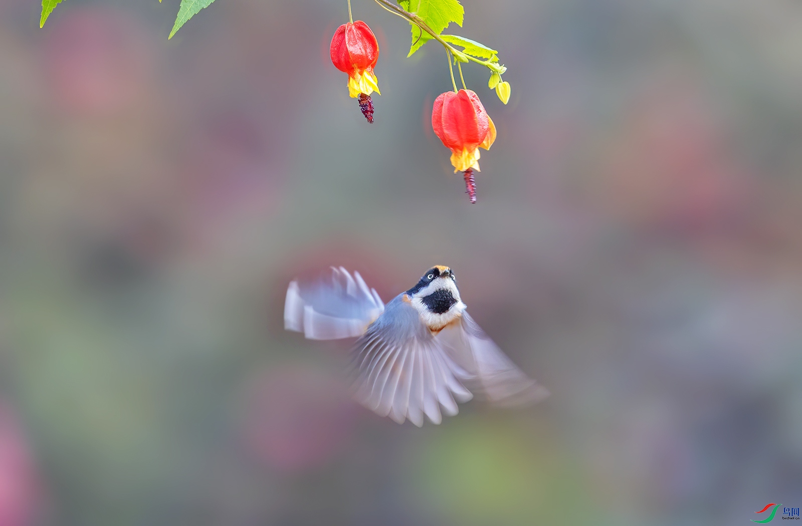 AI8I4370 ����.jpg