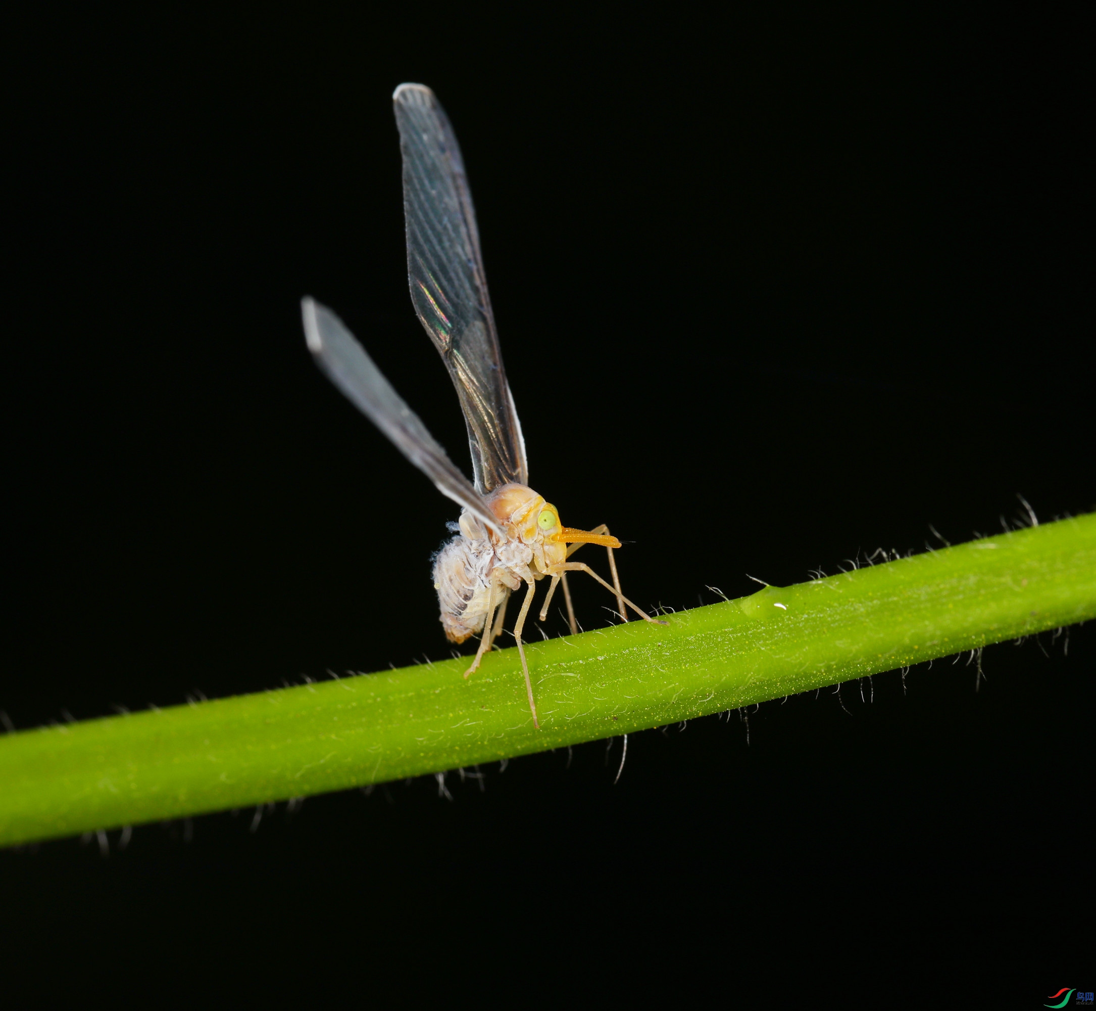 EC6A8906_����.jpg