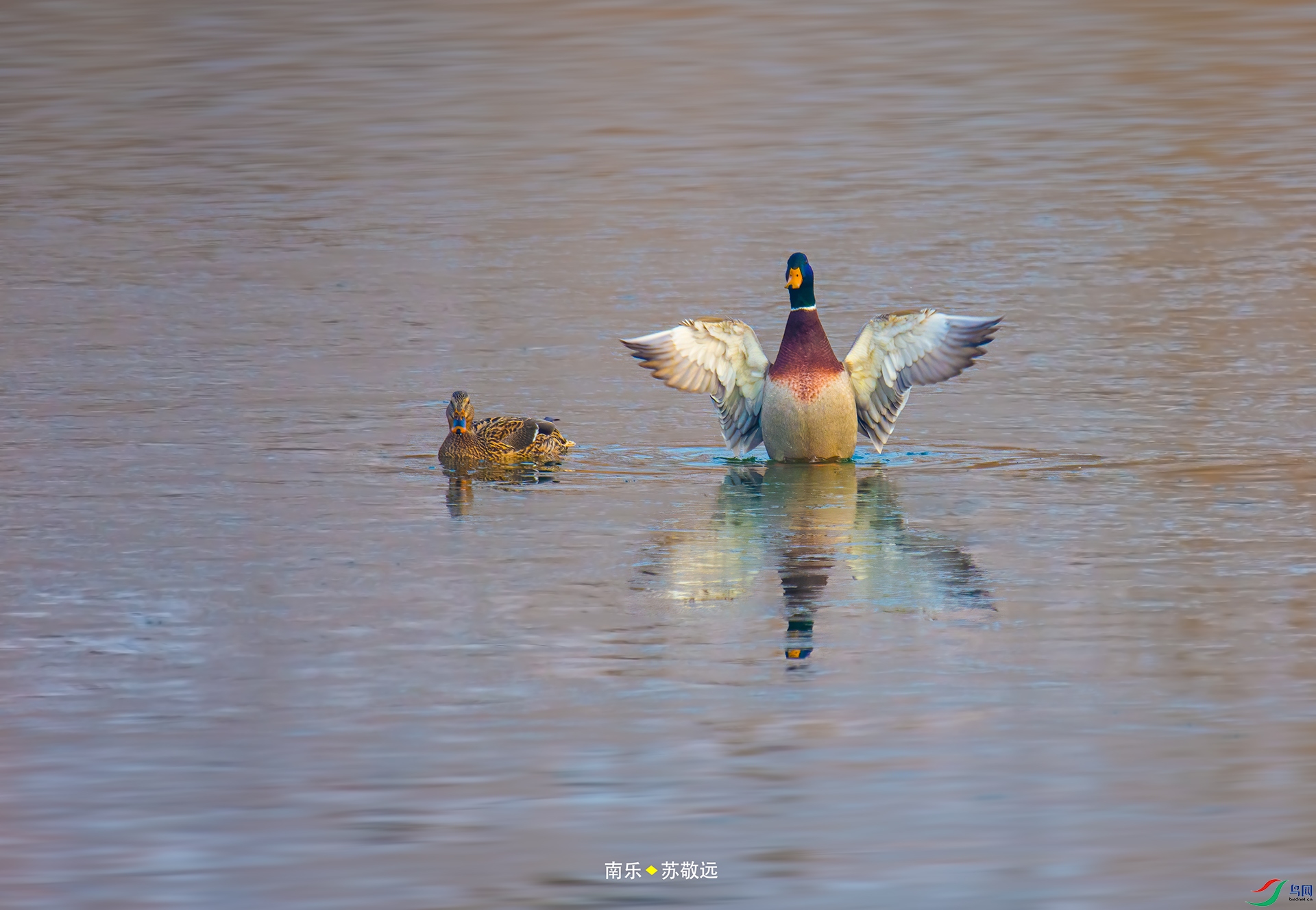_DSC3853С.jpg