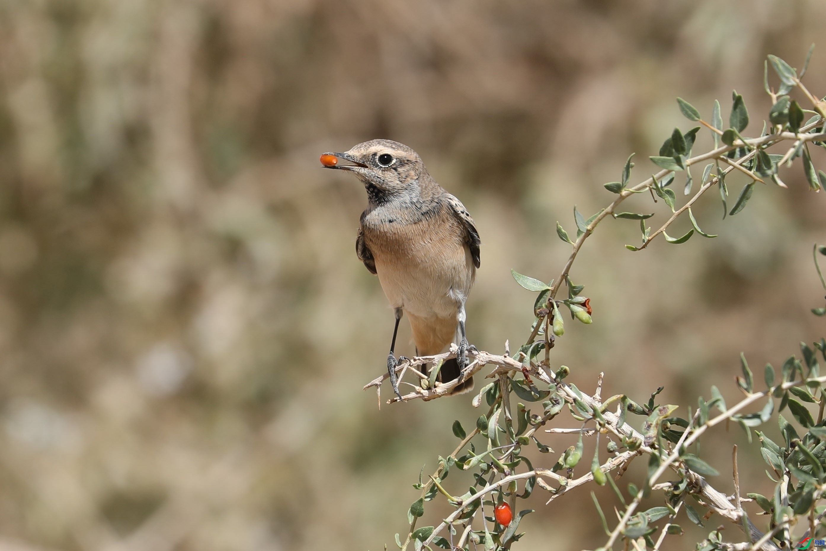 �������  ��ʦ�����ڸ���ʡ��Ȫ��.jpg